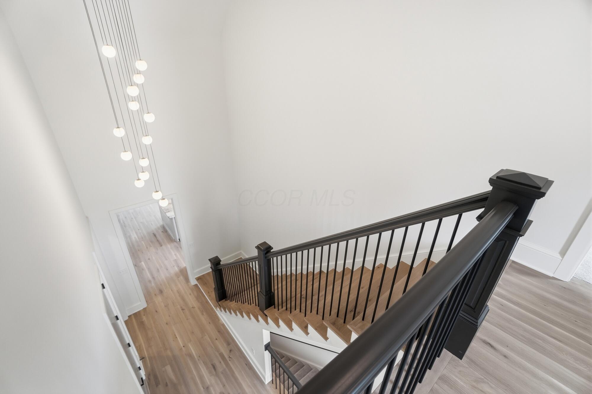 8320 Canopy Glen Drive Property Photo 61
