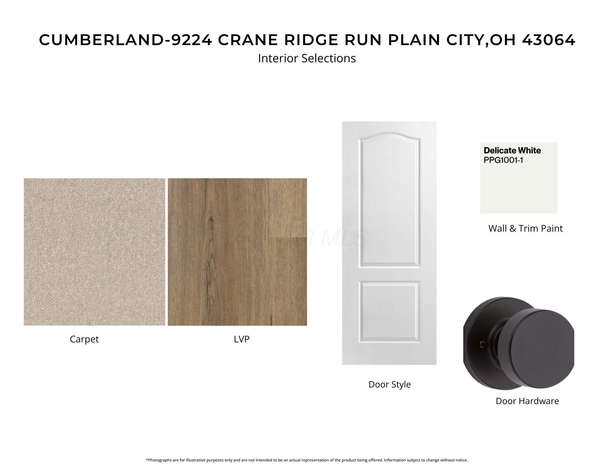 9224 Crane Ridge Run Property Photo 10