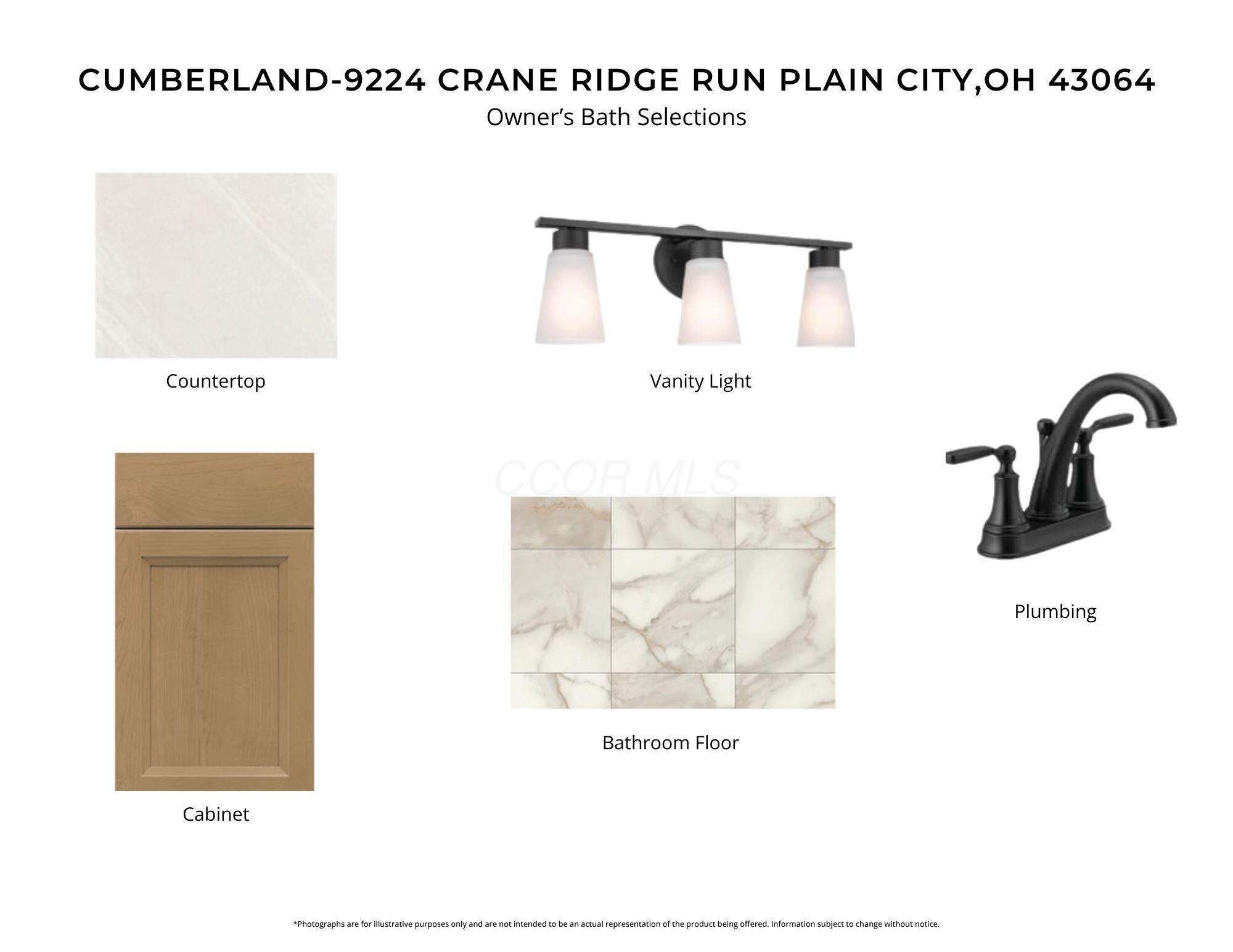 9224 Crane Ridge Run Property Photo 12