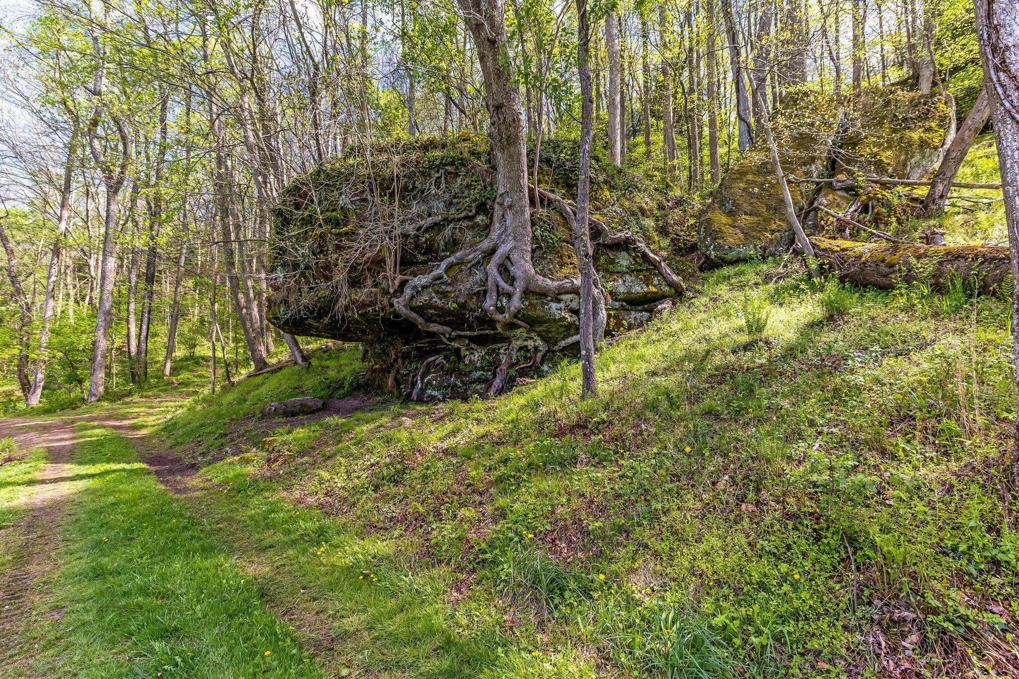 26019 Bailey Road Property Photo 81