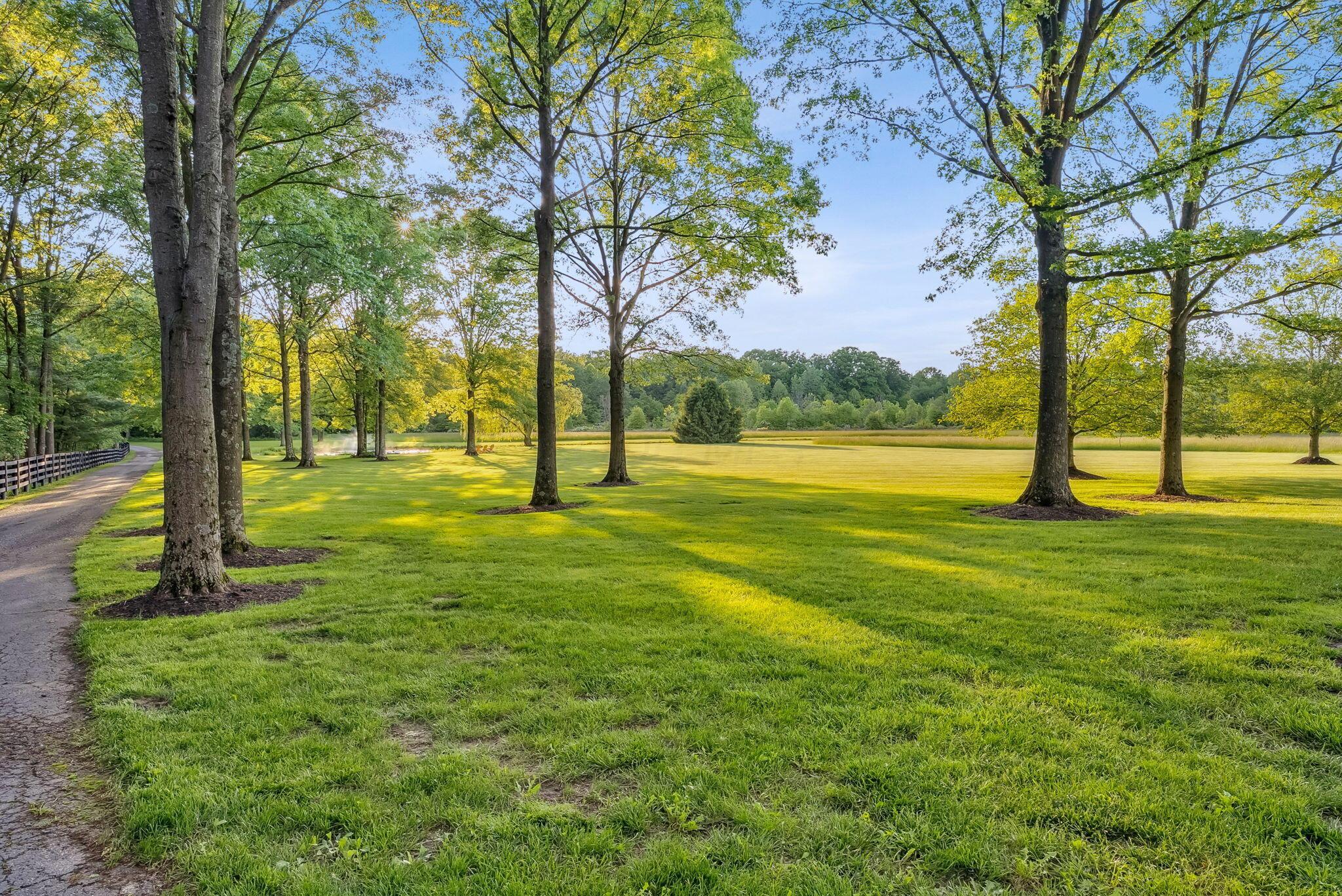 14121 Perfect Road Property Photo 11