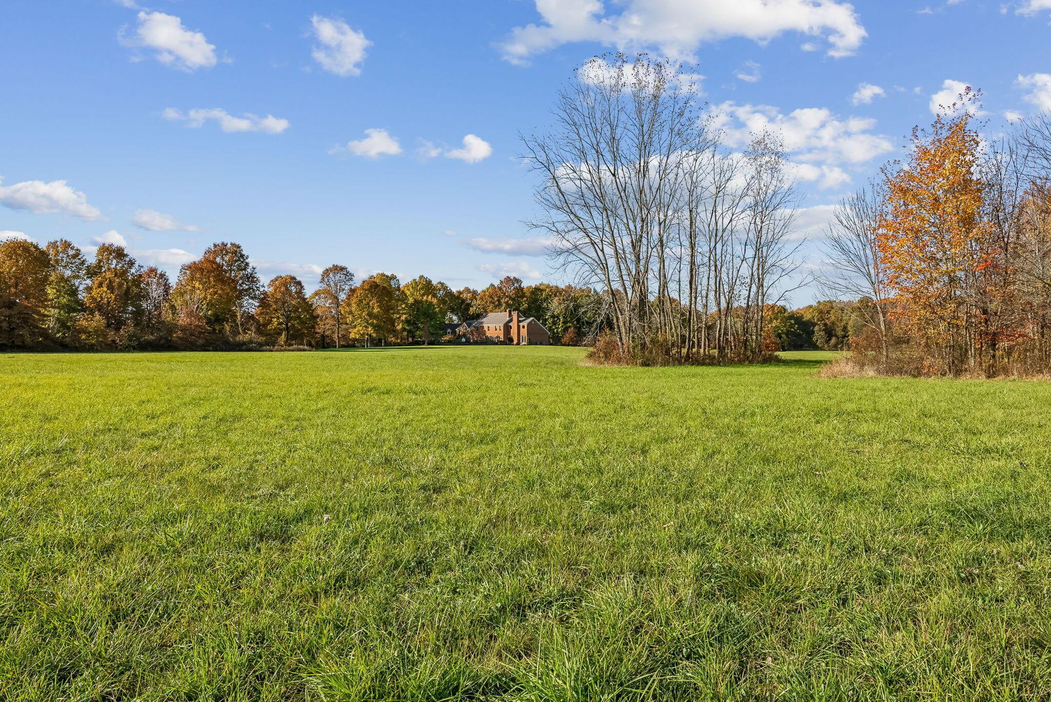 14121 Perfect Road Property Photo 88