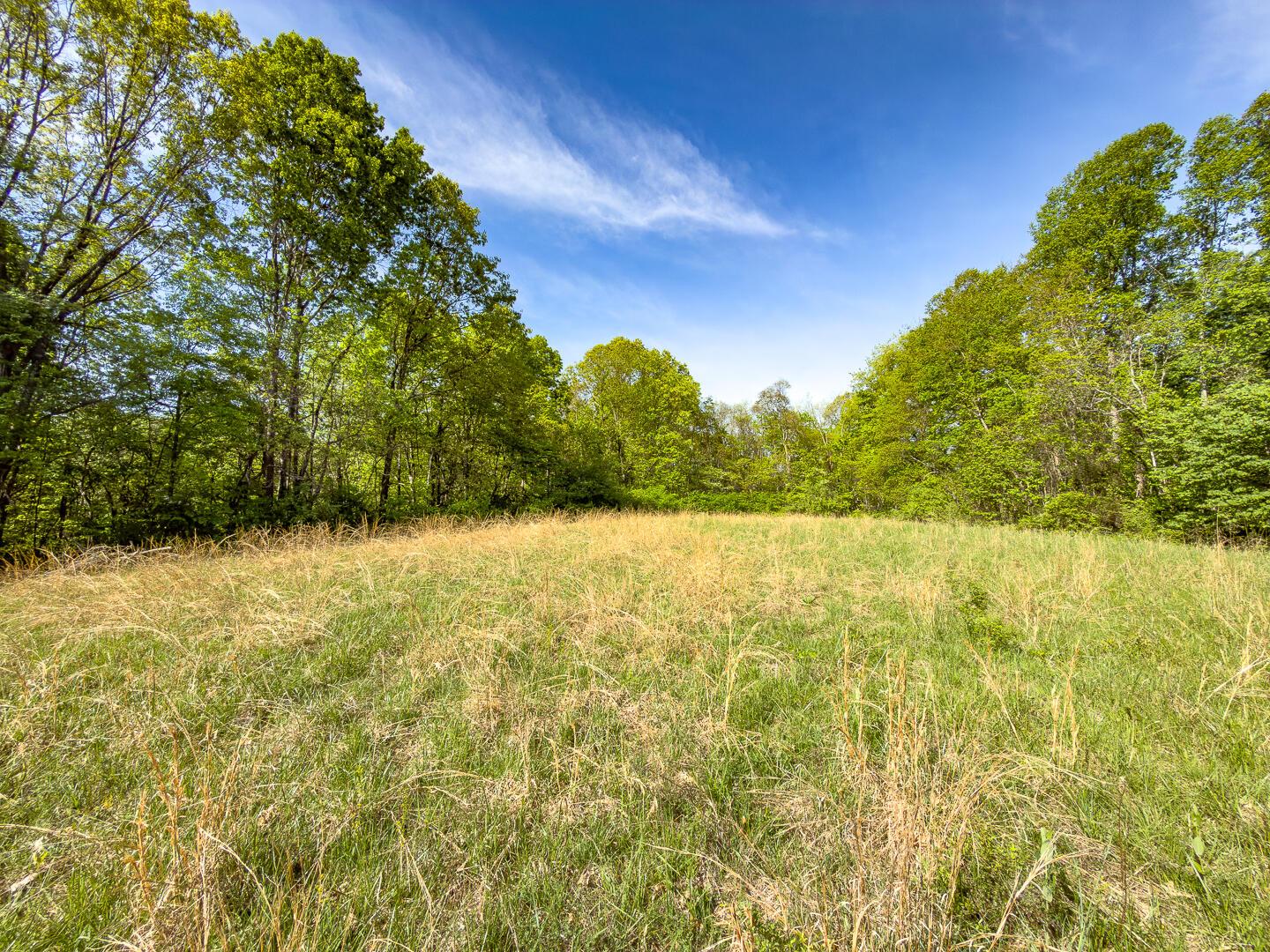 Parcel 2 Perry Ridge Road Property Photo 1