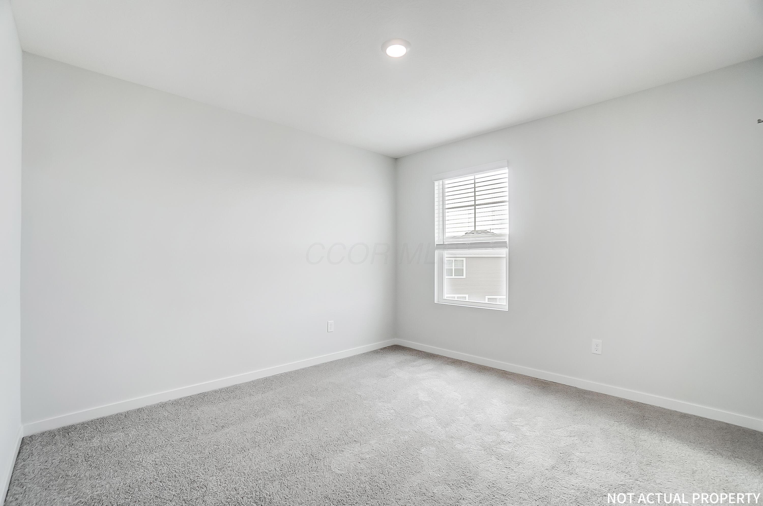 239 Vine Grove Drive Property Photo 18