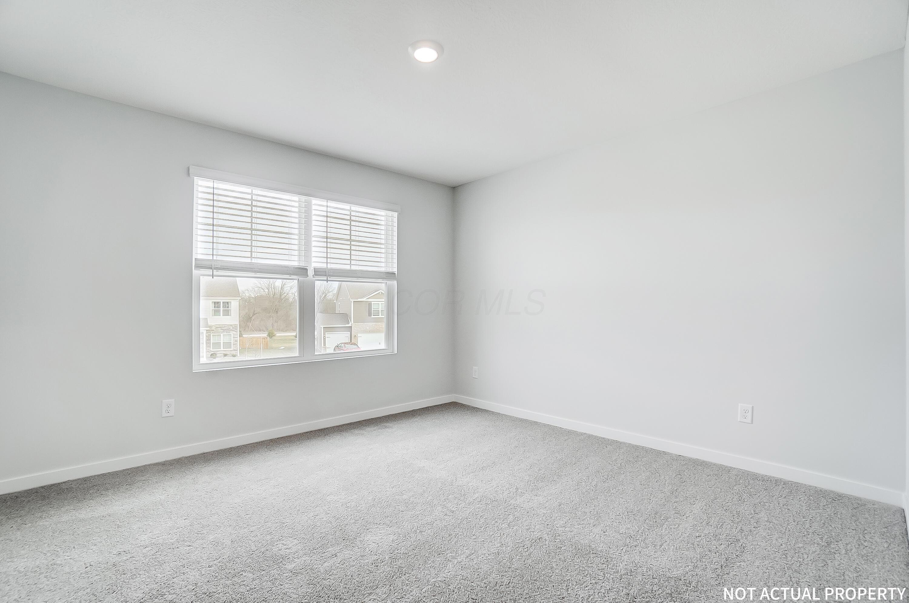 239 Vine Grove Drive Property Photo 20