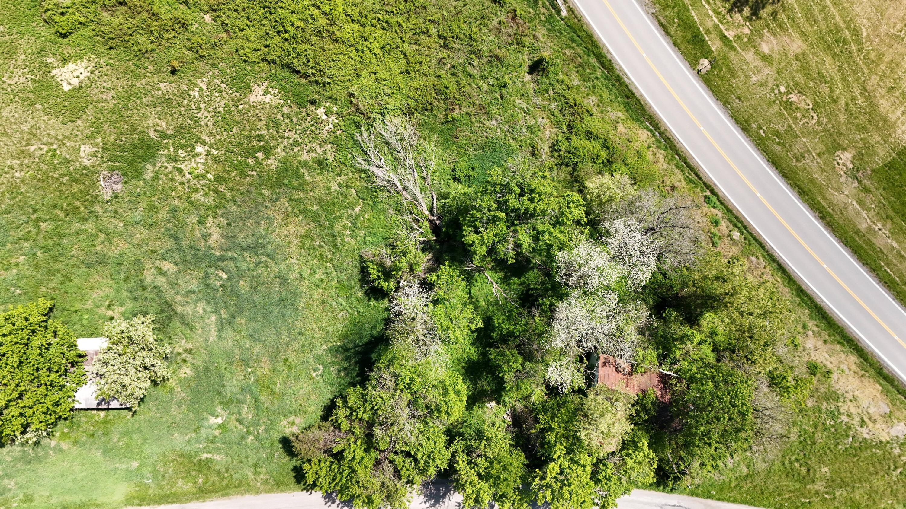 7457 Chase Road Property Photo 12