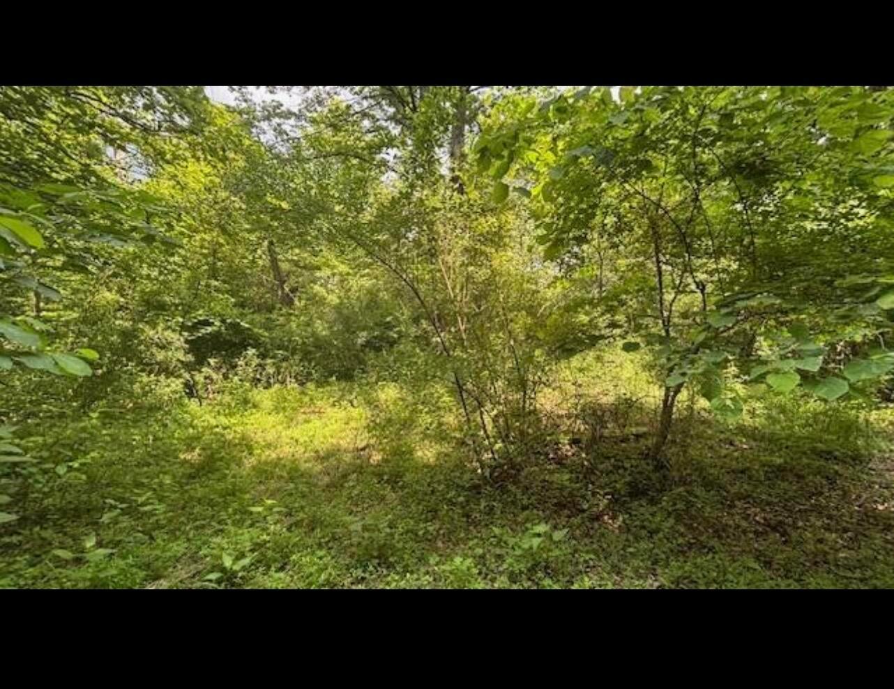 14500 Wolfe Road Property Photo 1