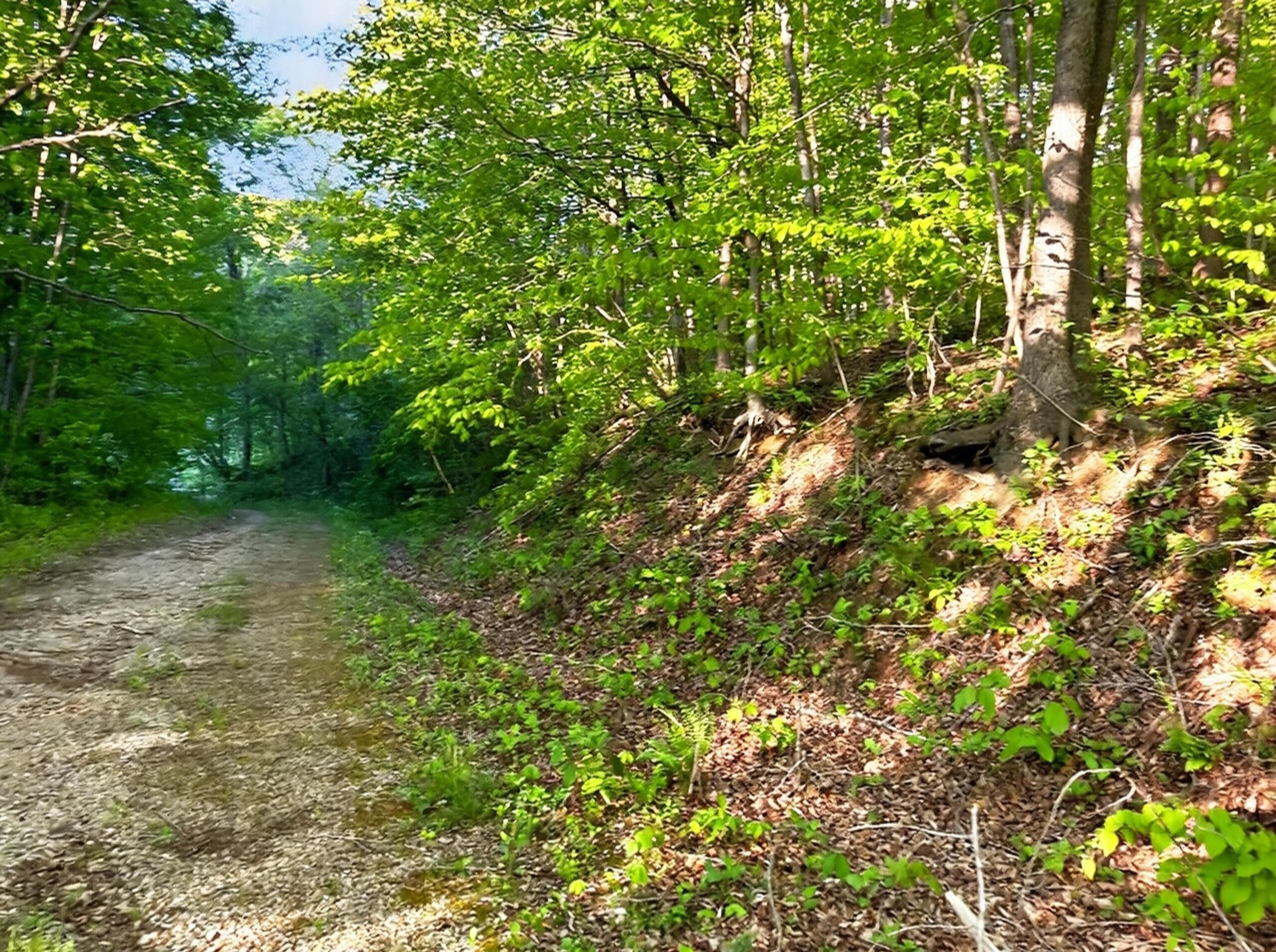 73600 Us-50 Property Photo 38