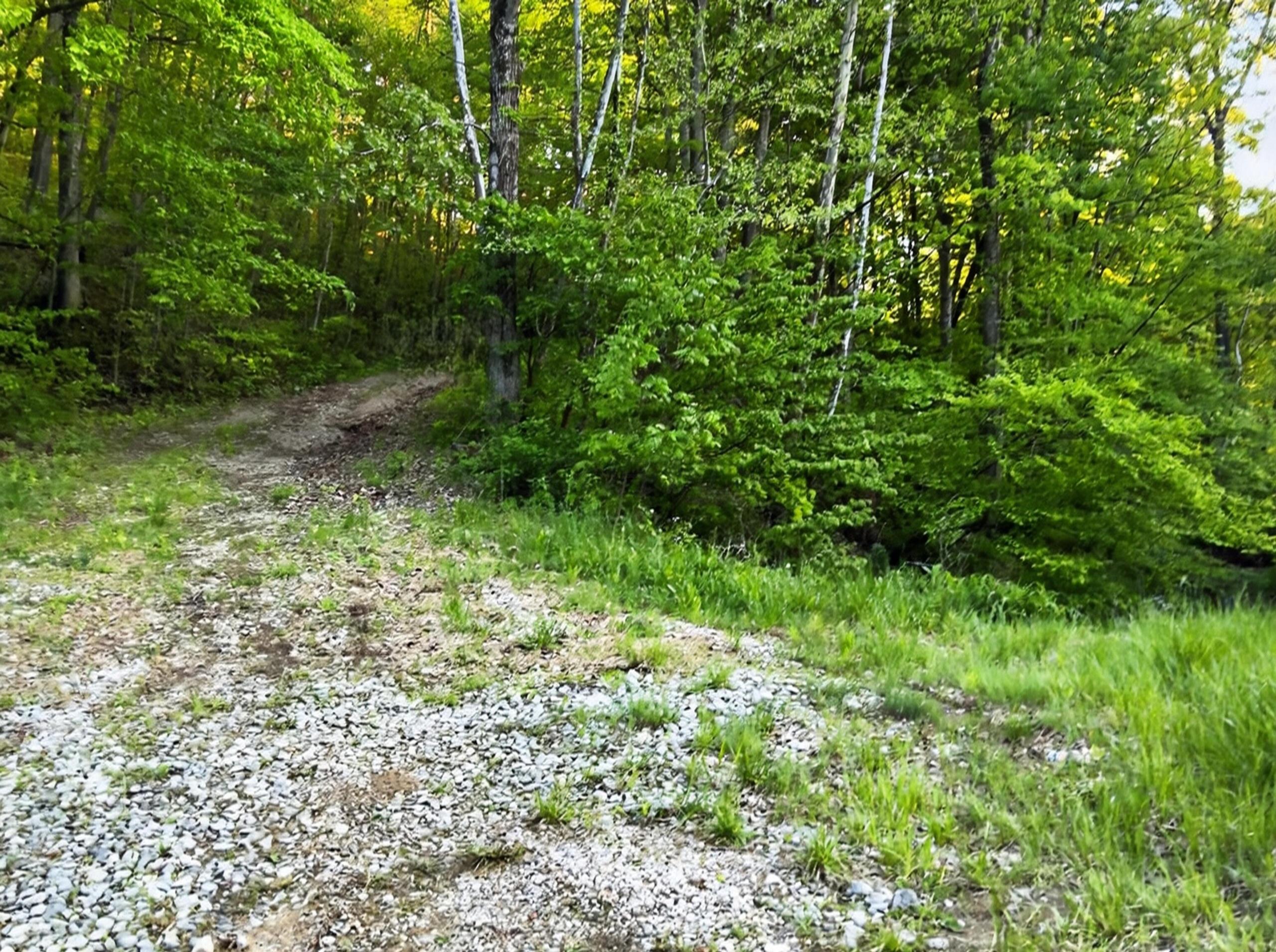73600 Us-50 Property Photo 40