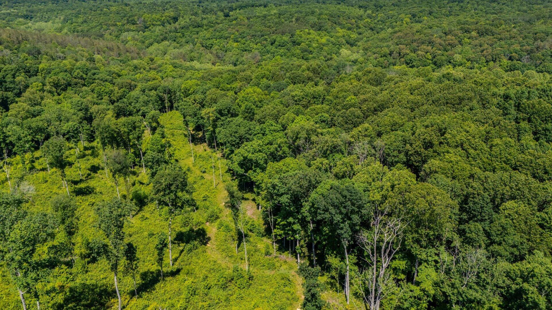 70518 Two Mile Road Property Photo 7