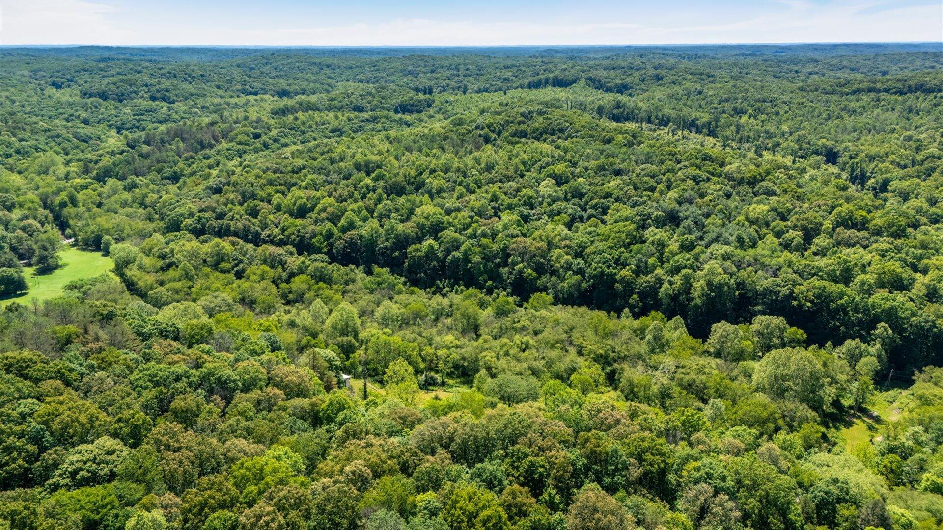 70518 Two Mile Road Property Photo 25