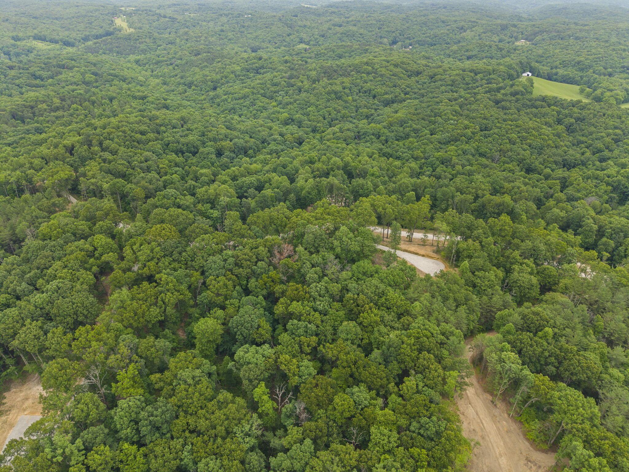 18573 Huggins Road Property Photo 30