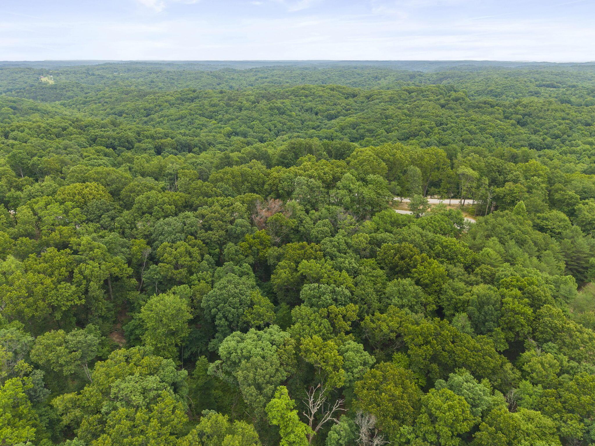 18573 Huggins Road Property Photo 31