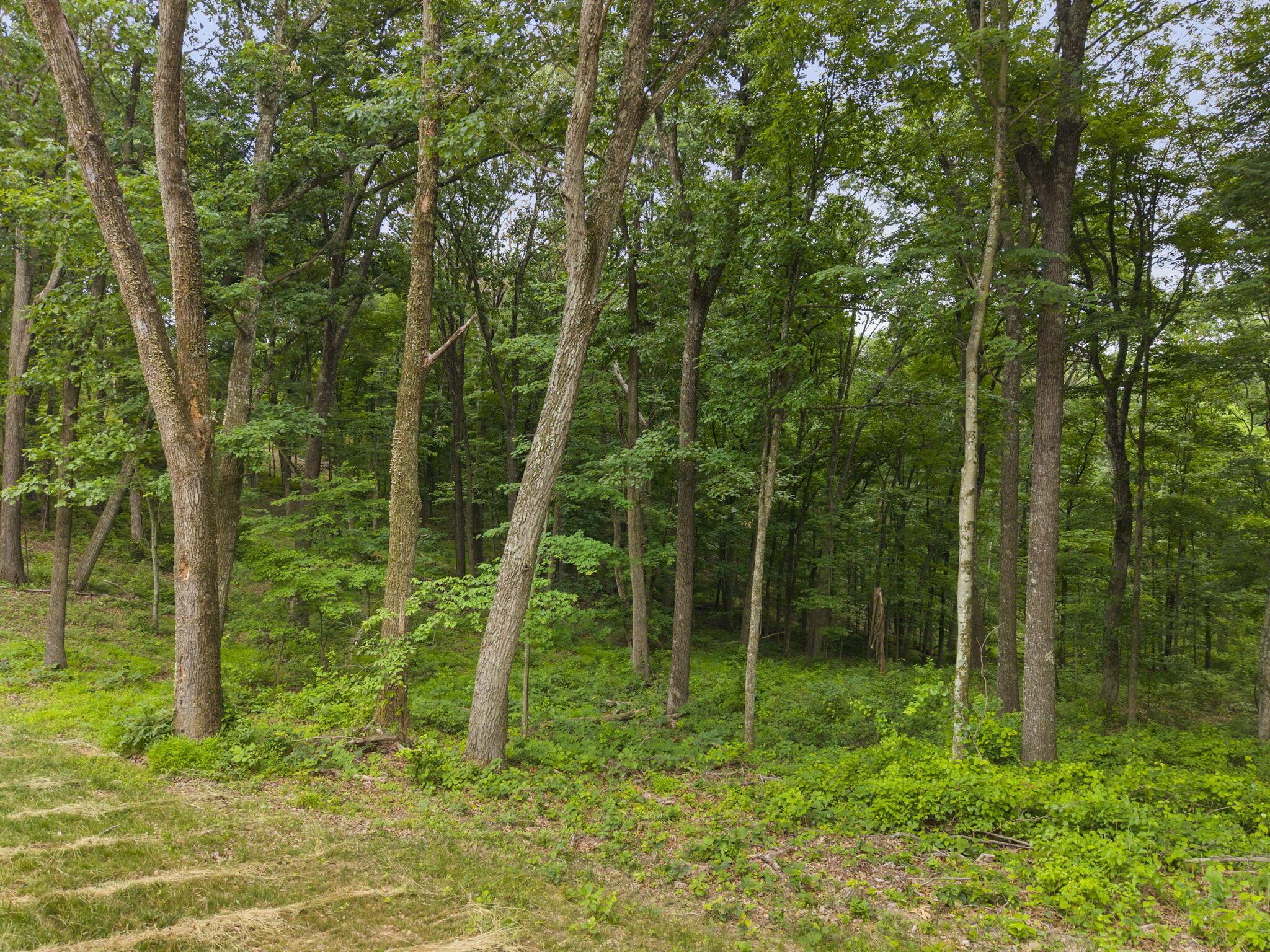 18573 Huggins Road Property Photo 40