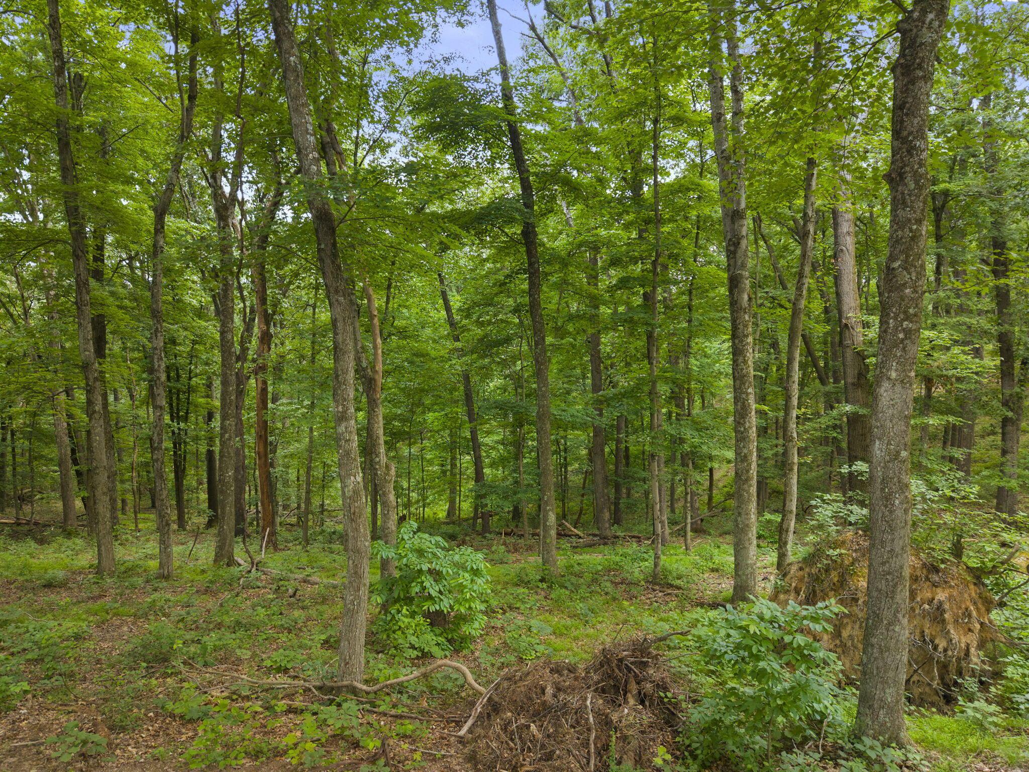 18573 Huggins Road Property Photo 41