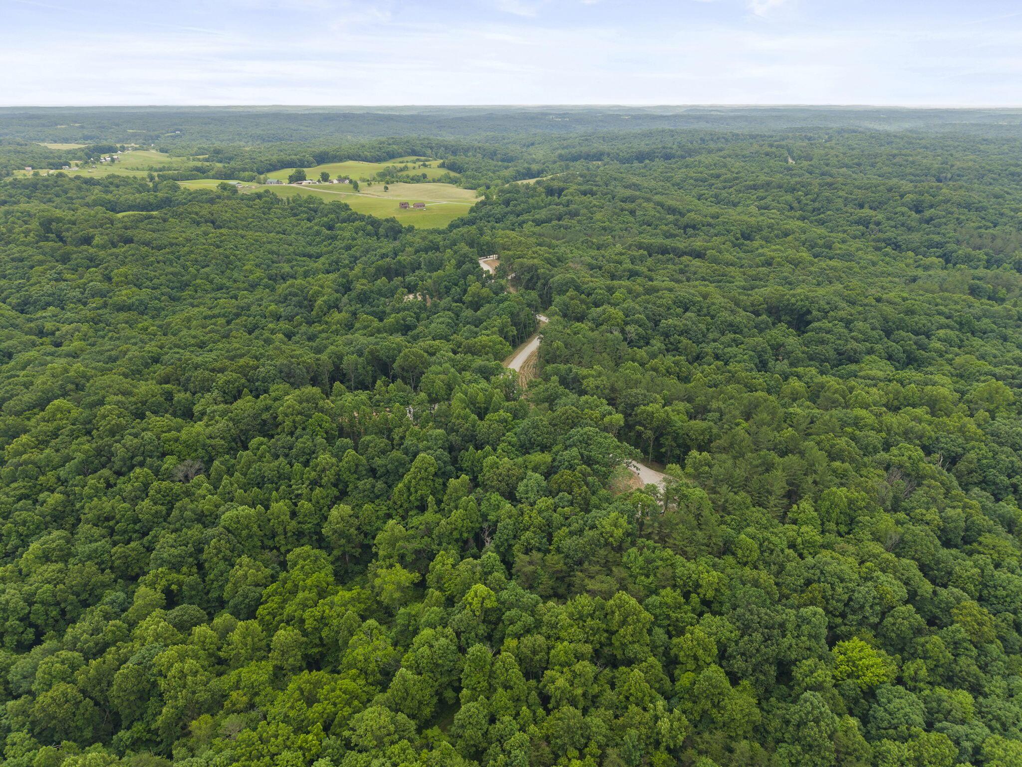 18573 Huggins Road Property Photo 48
