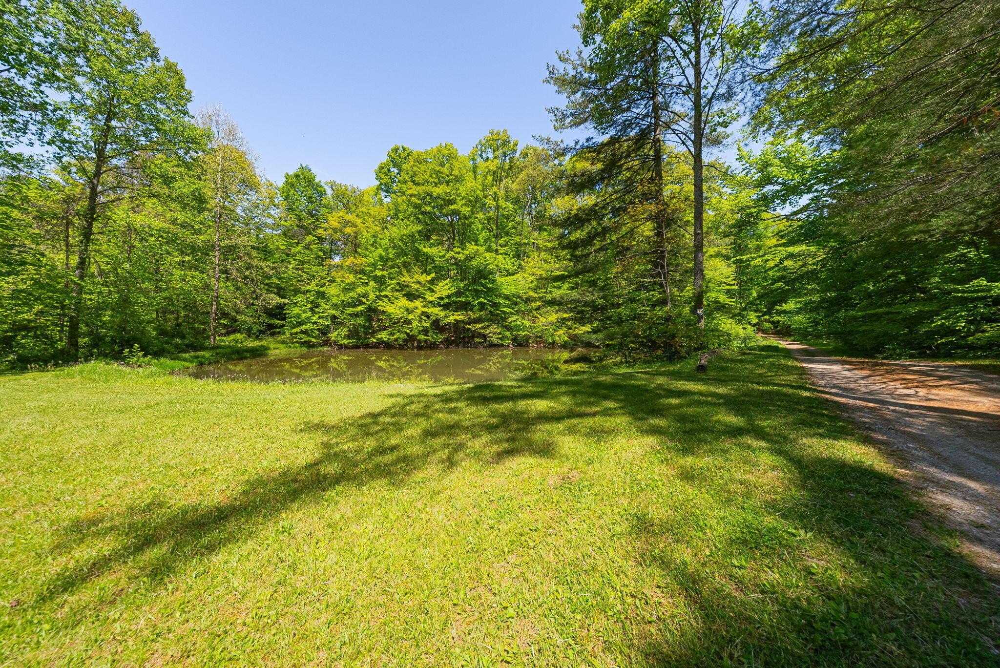 10375 Frasure Helber Road Property Photo 126