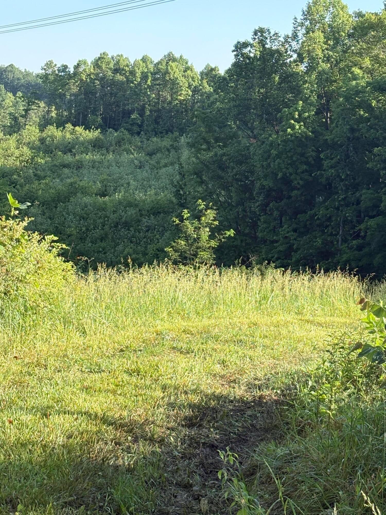 61080 Bolar Road Property Photo 66