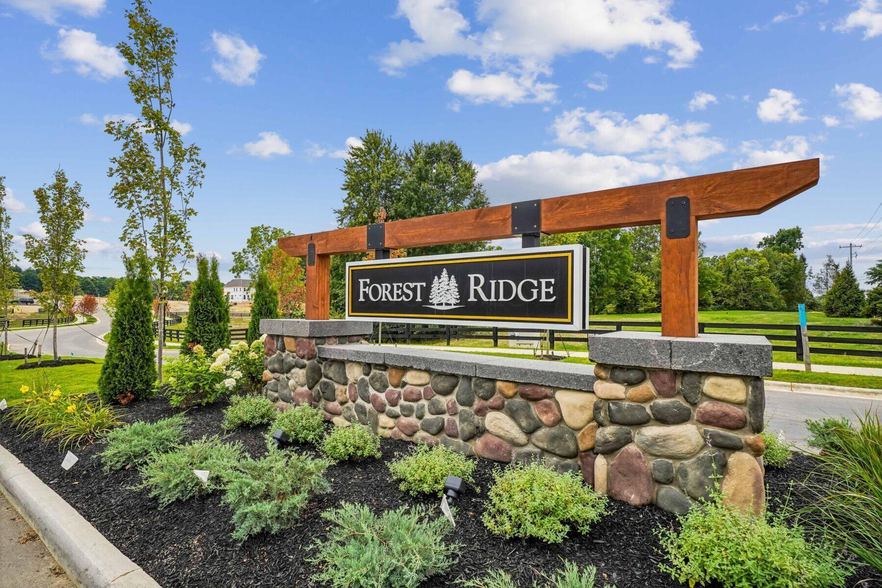 316 Reign Way Property Photo 14