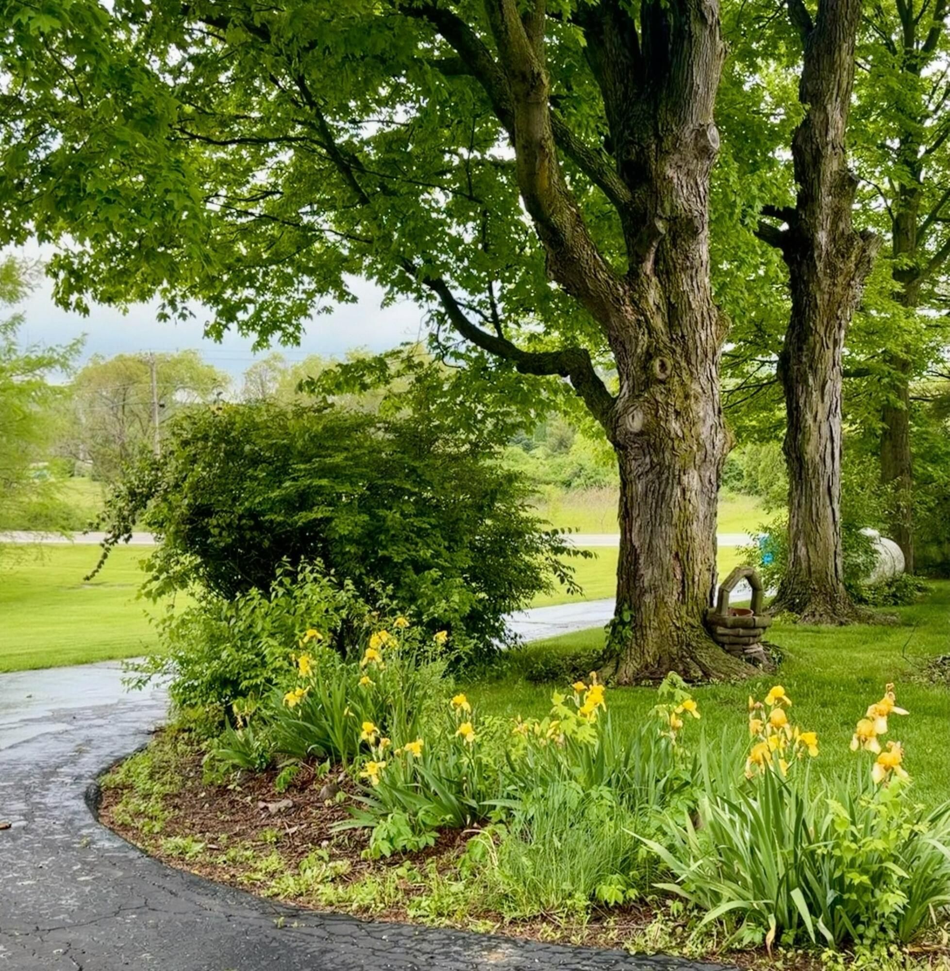 8911 Ohio 161 Property Photo 4
