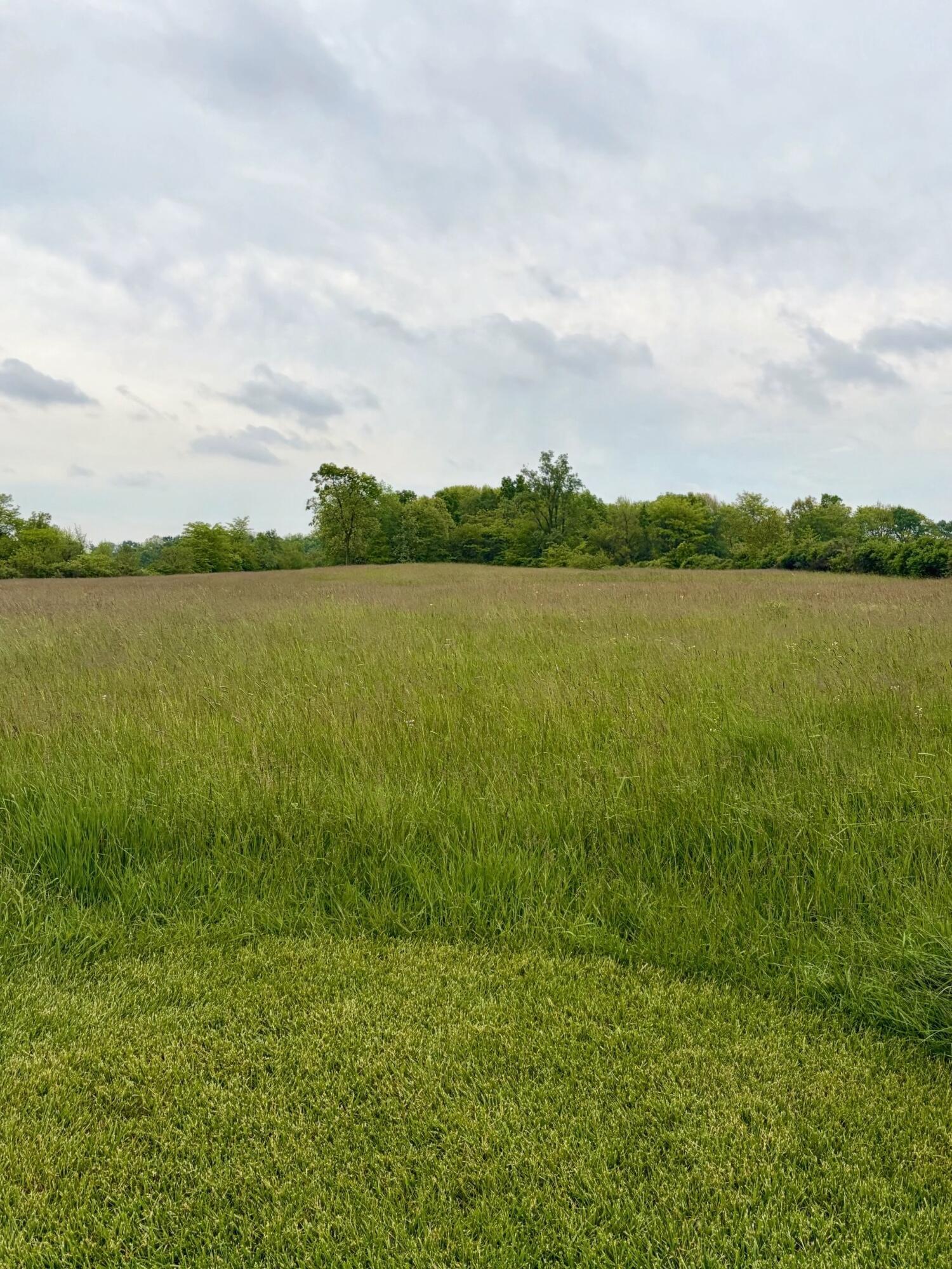 8911 Ohio 161 Property Photo 6