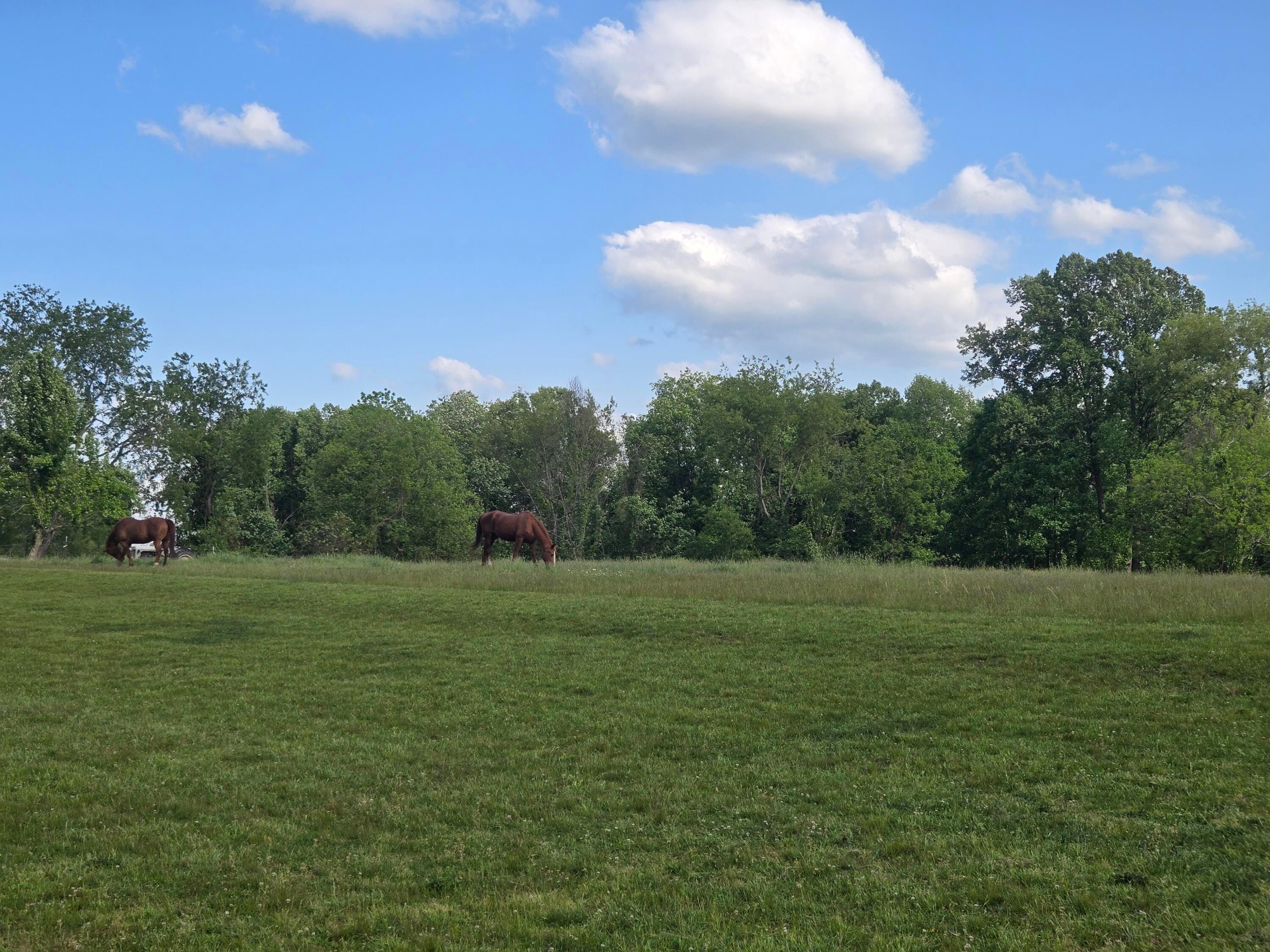 2329 Swart Road Property Photo 20