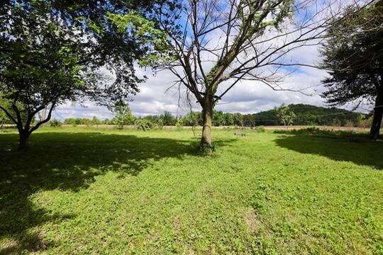 3039 State Route 41 S Property Photo 8