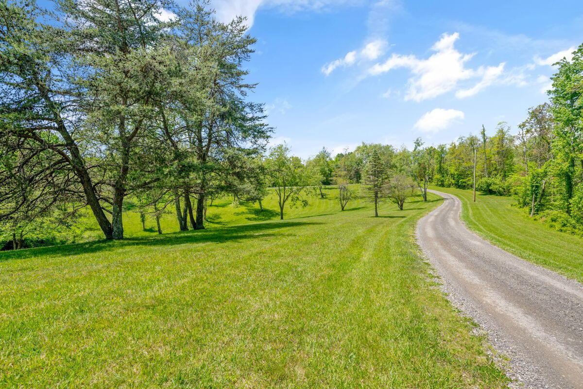 16472 Kreashbaum Road Property Photo 138