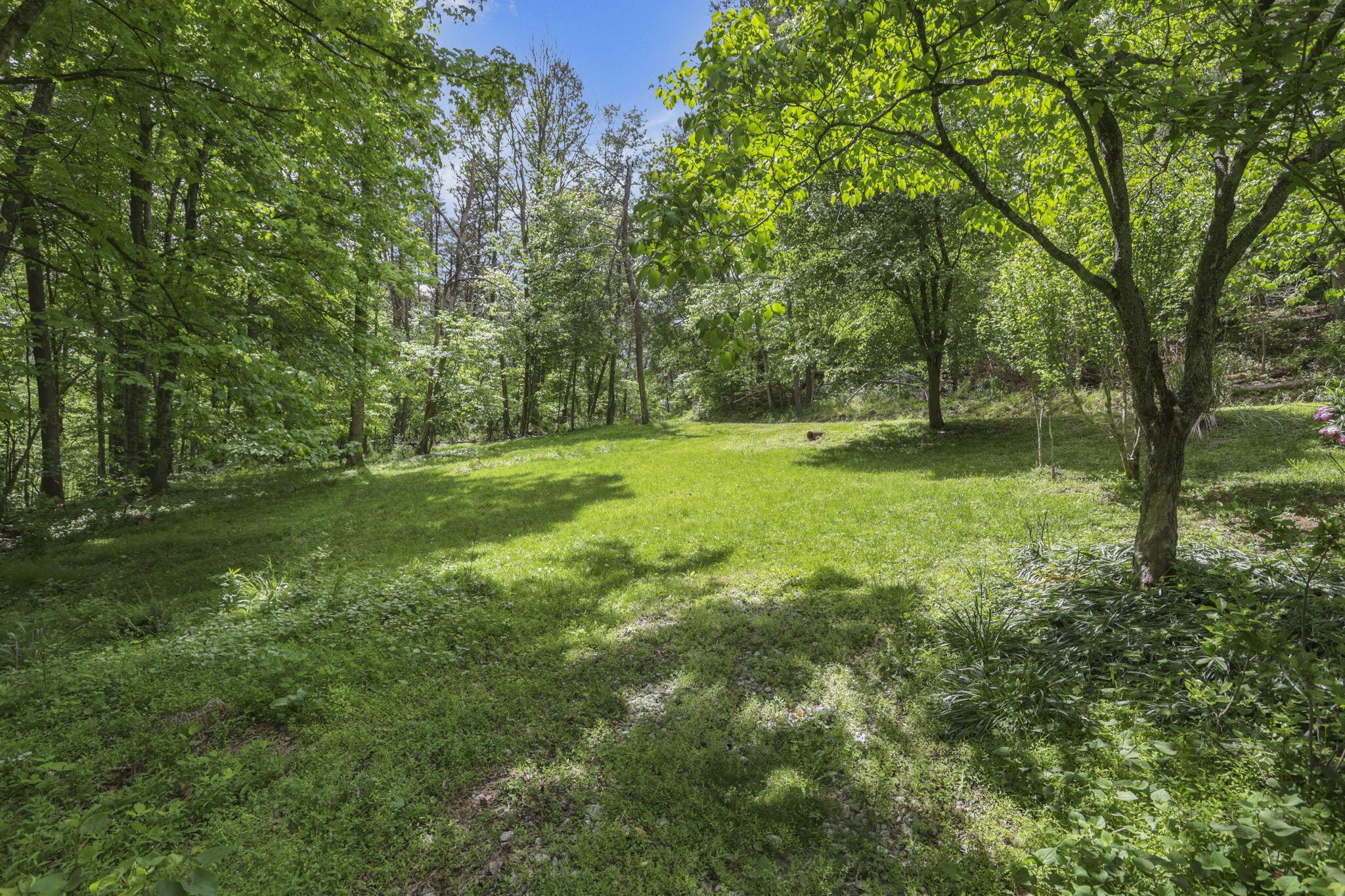 33329 Lynch Drive Property Photo 57