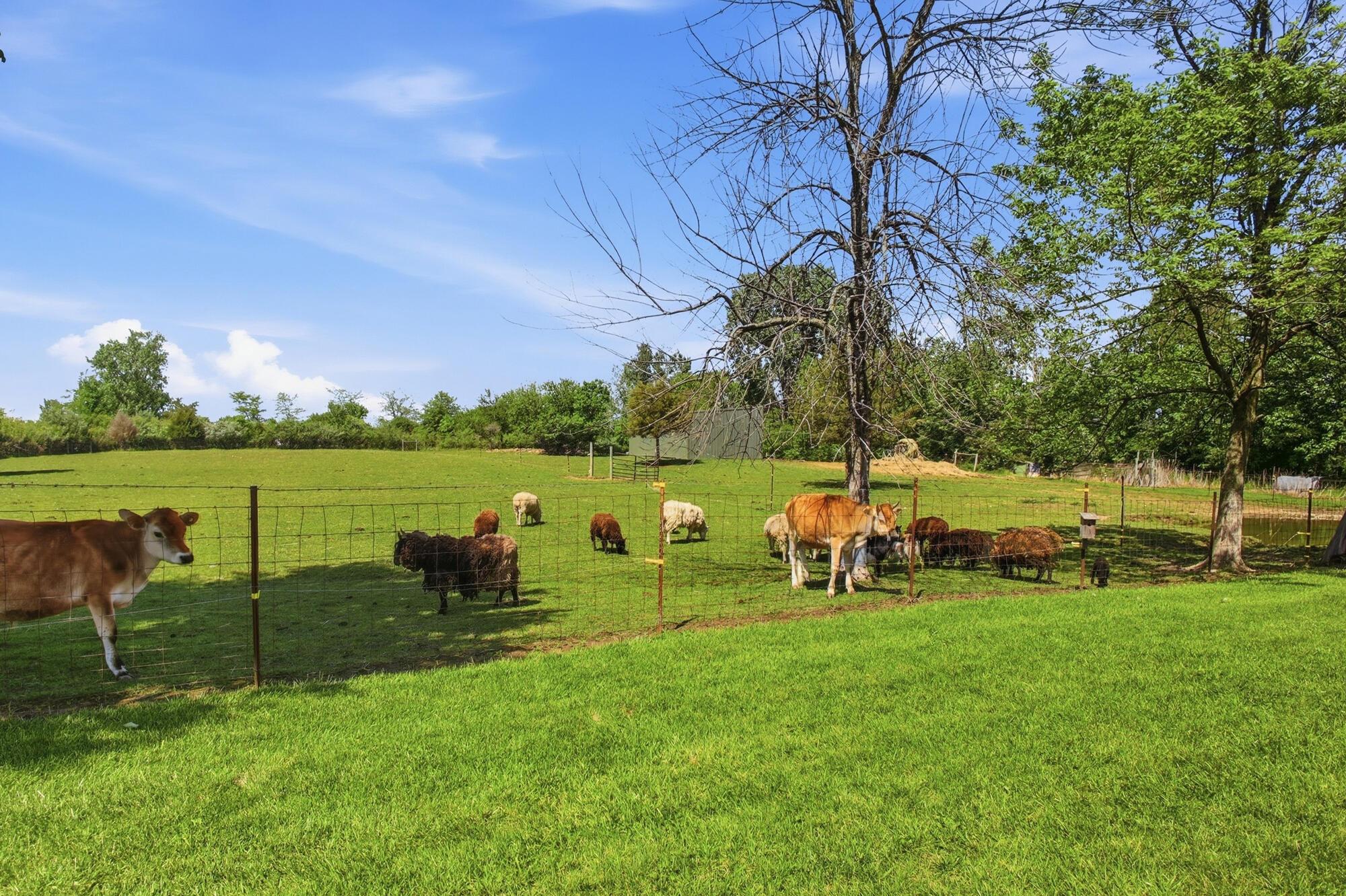3435 State Route 187 Property Photo 56