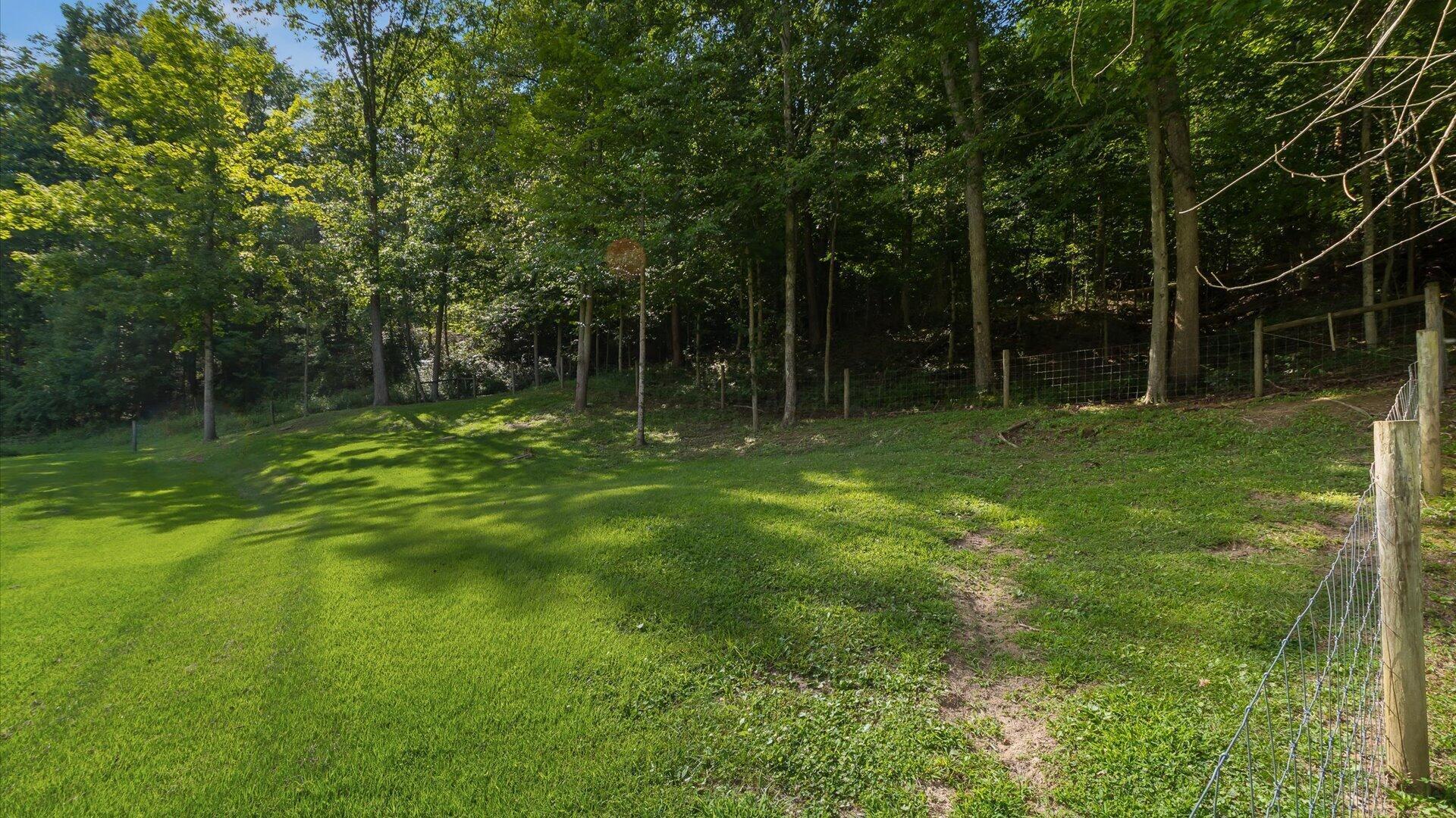 385 Irish Ridge Road Property Photo 44