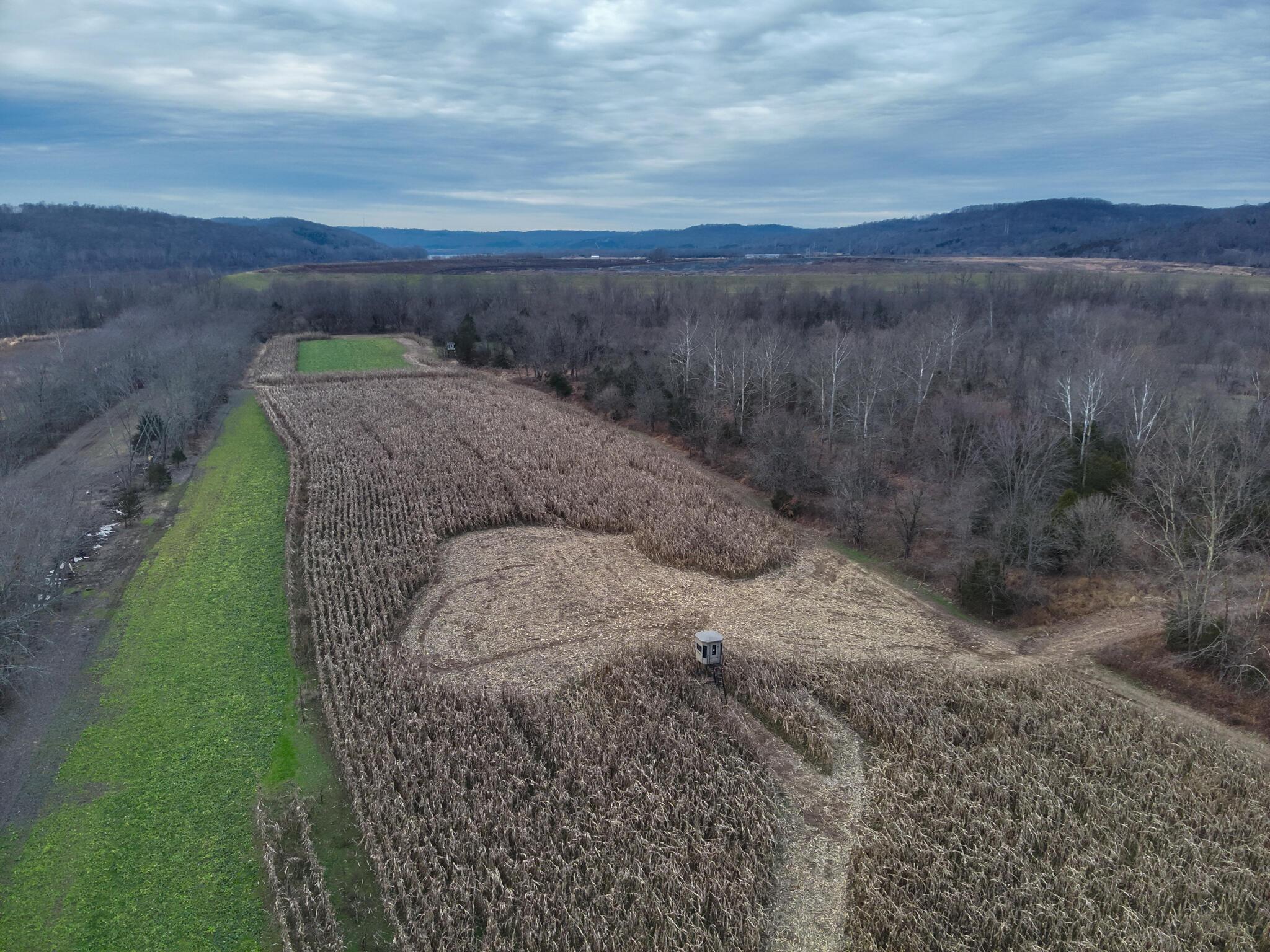 16675 Us Highway 52 Property Photo 11