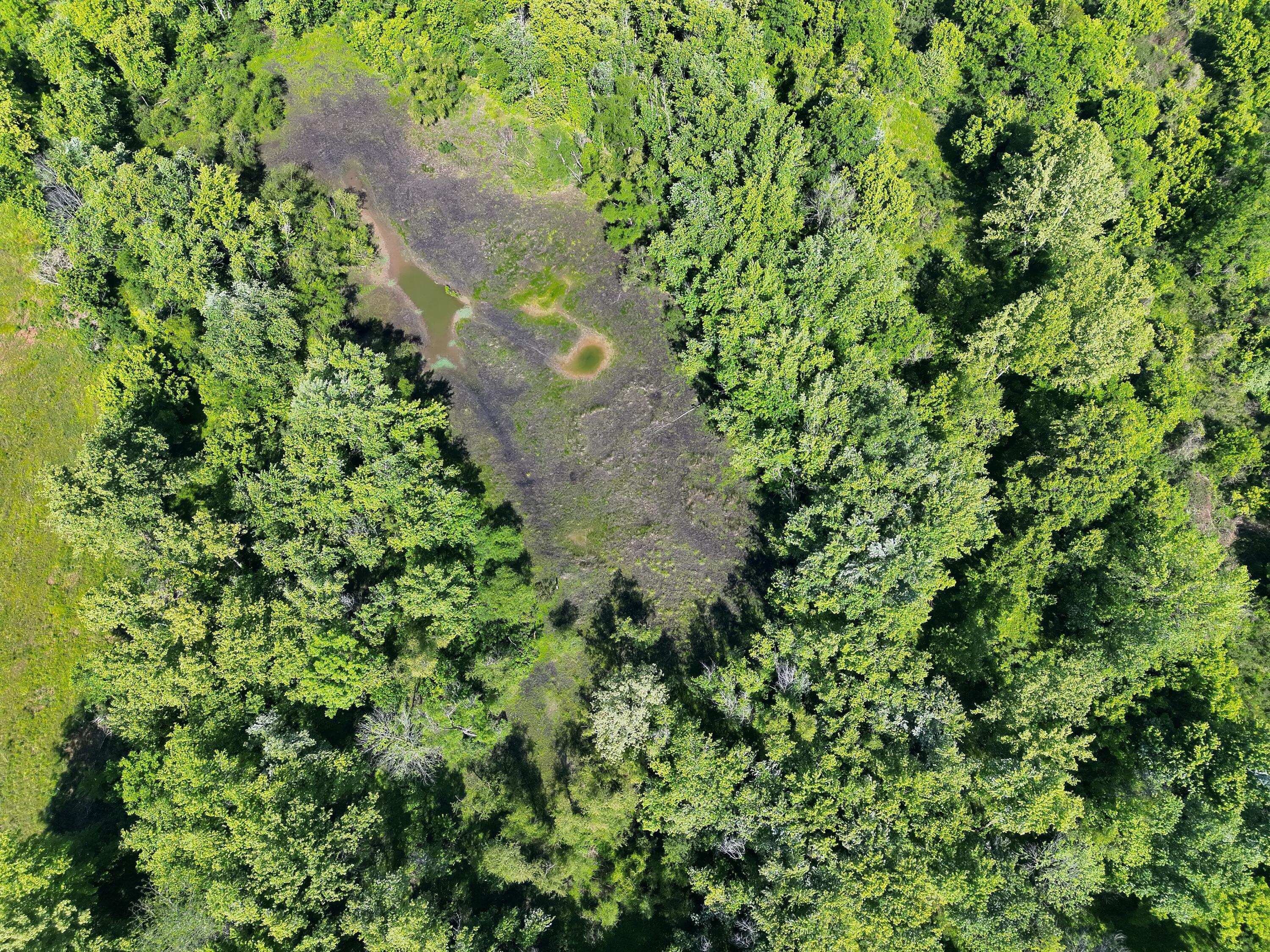 16675 Us Highway 52 Property Photo 18