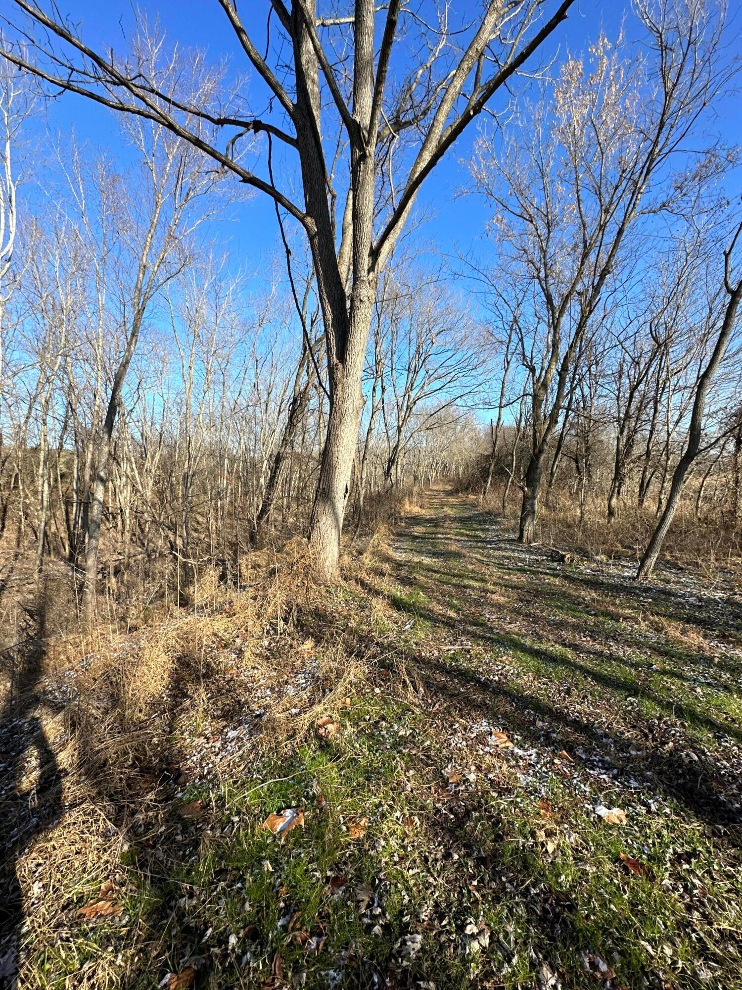 16675 Us Highway 52 Property Photo 42