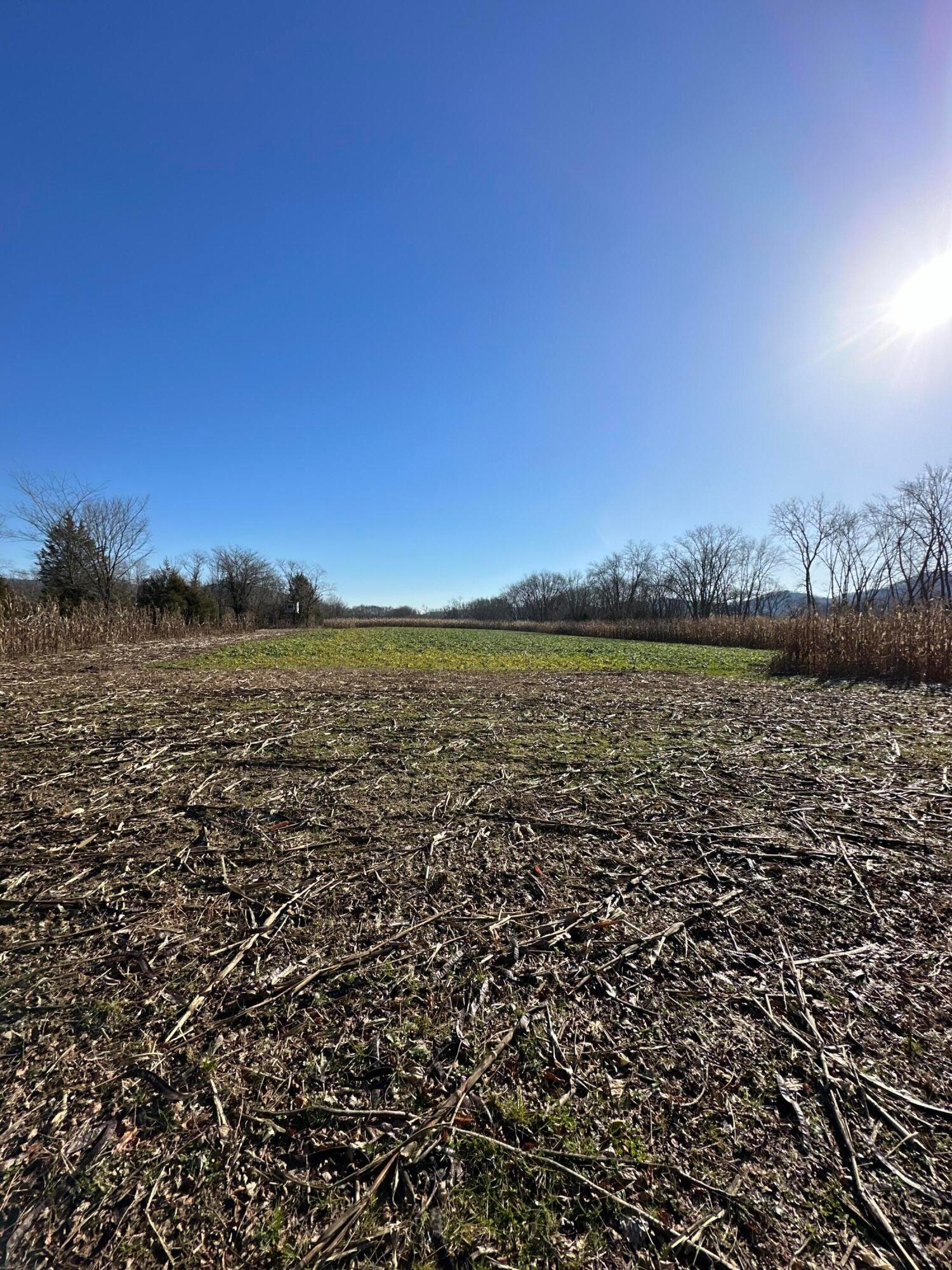 16675 Us Highway 52 Property Photo 43