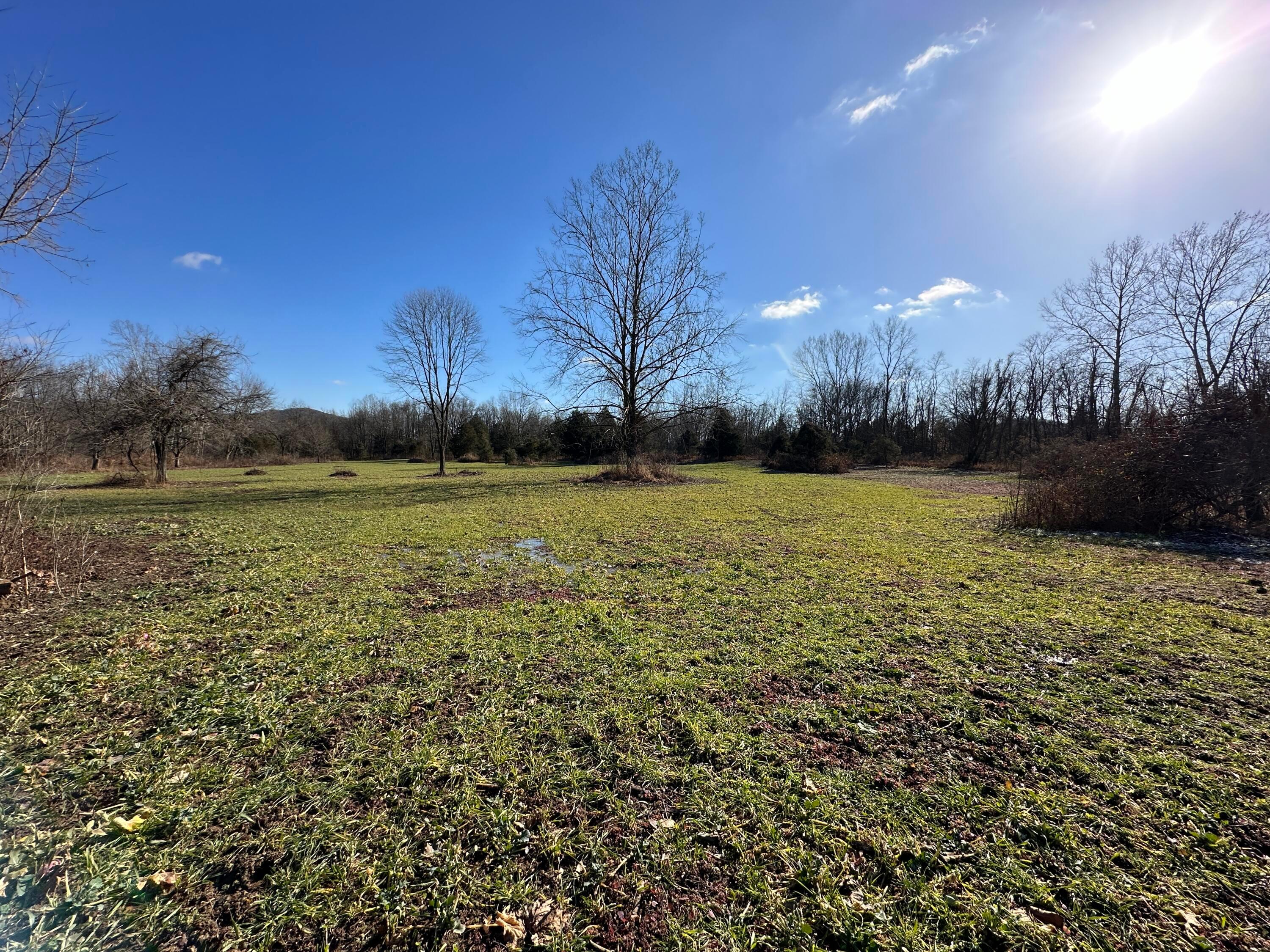 16675 Us Highway 52 Property Photo 45