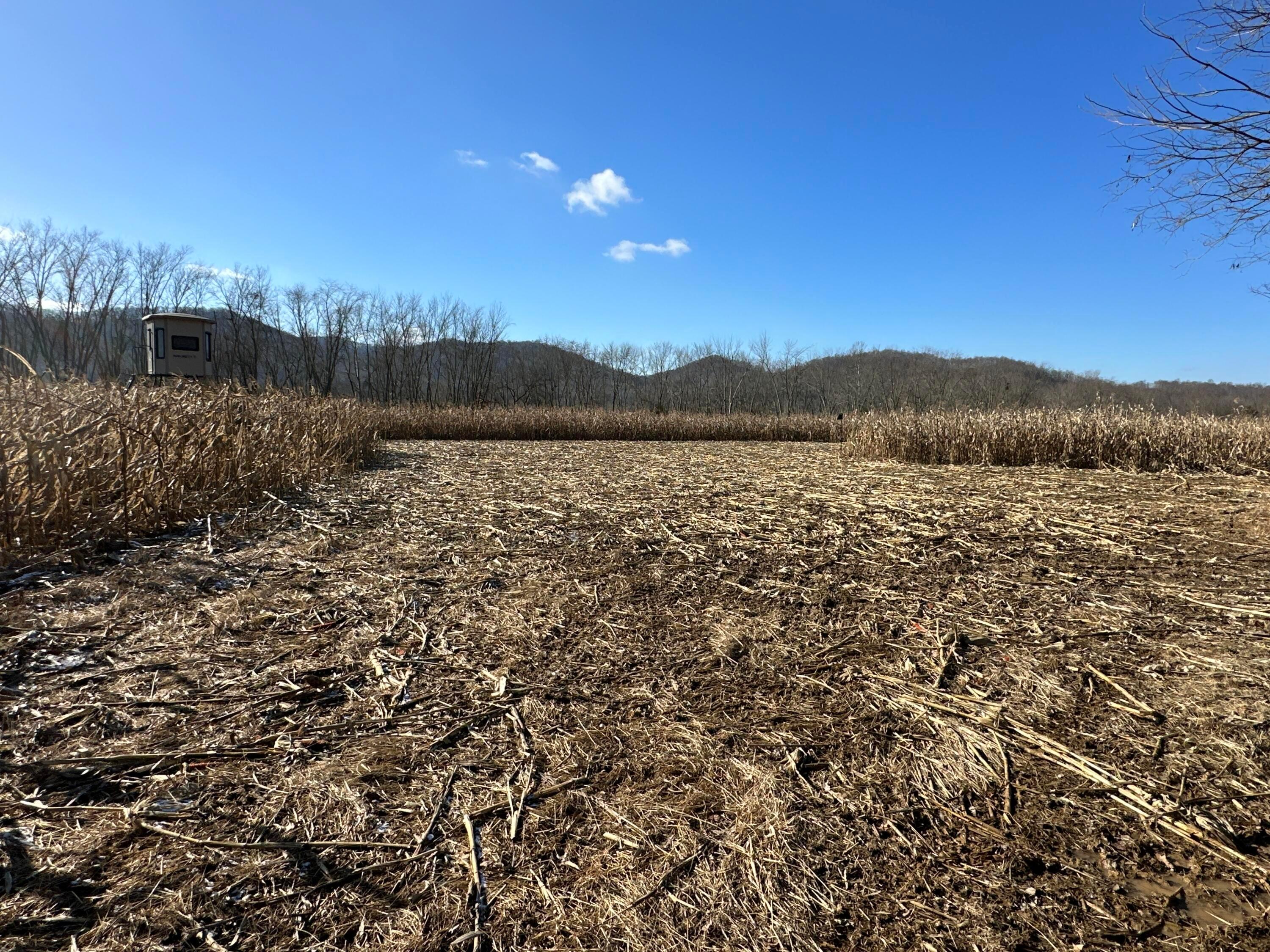 16675 Us Highway 52 Property Photo 50