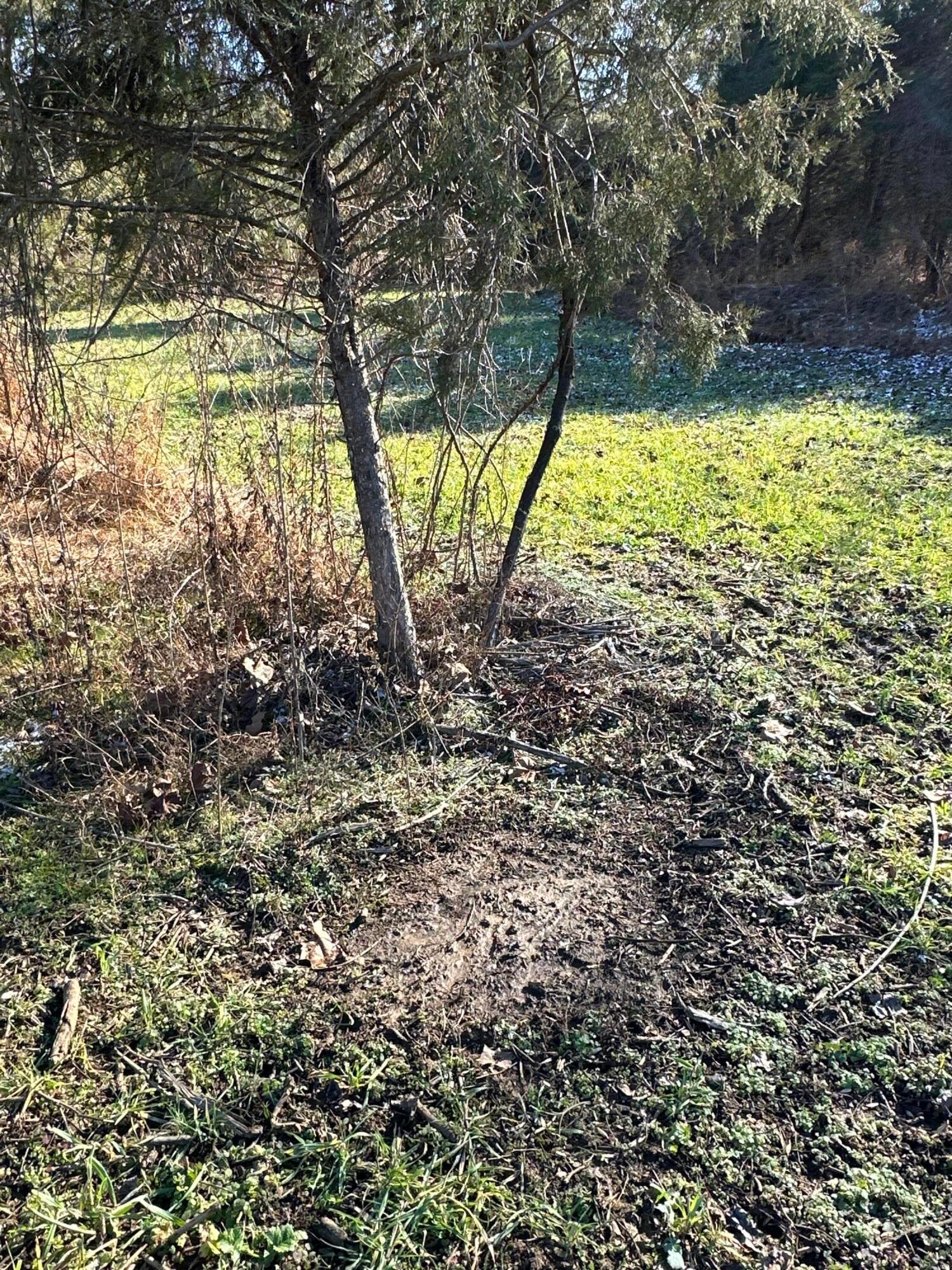 16675 Us Highway 52 Property Photo 51