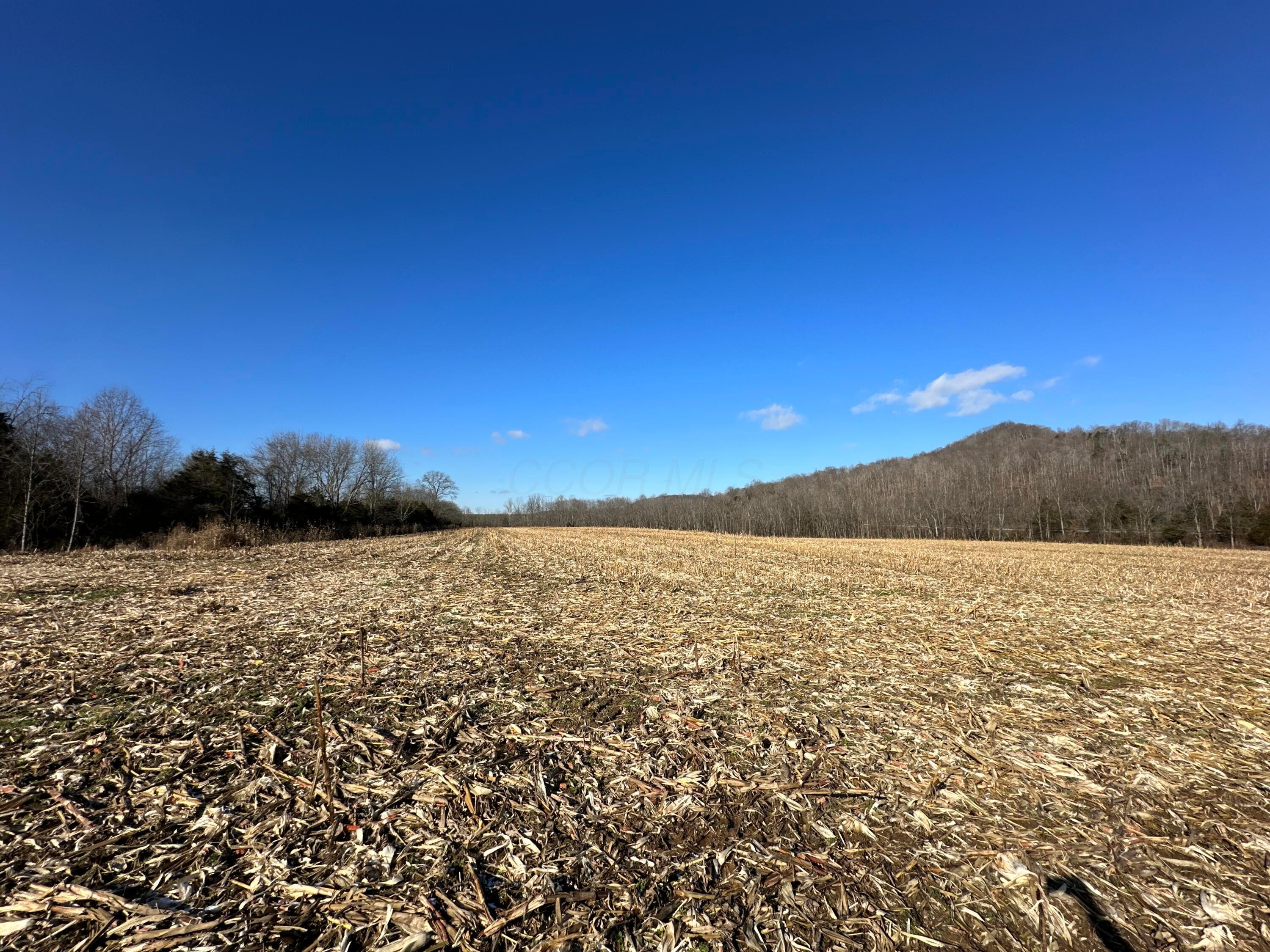 16675 Us Highway 52 Property Photo 52