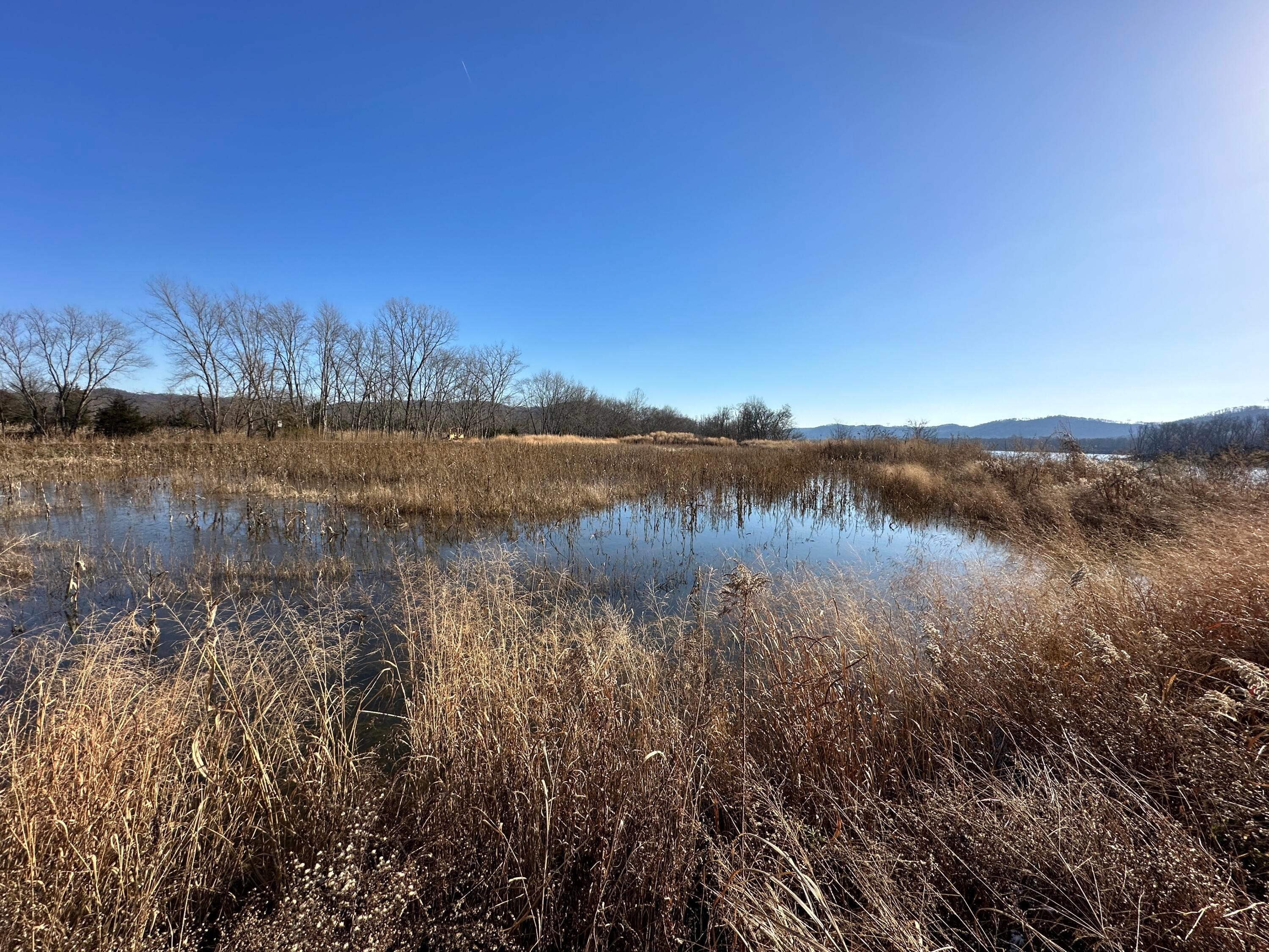 16675 Us Highway 52 Property Photo 56