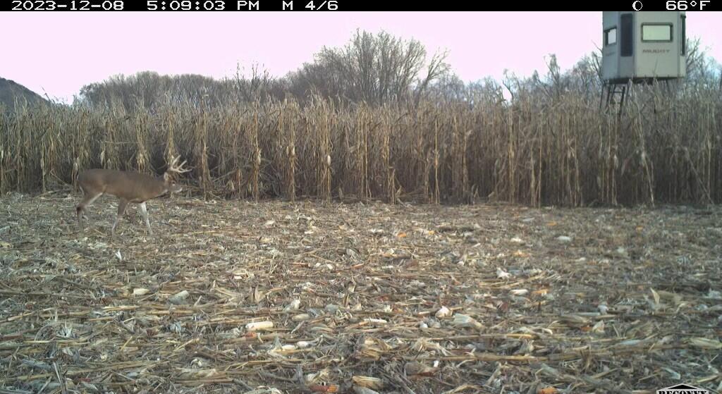 16675 Us Highway 52 Property Photo 67