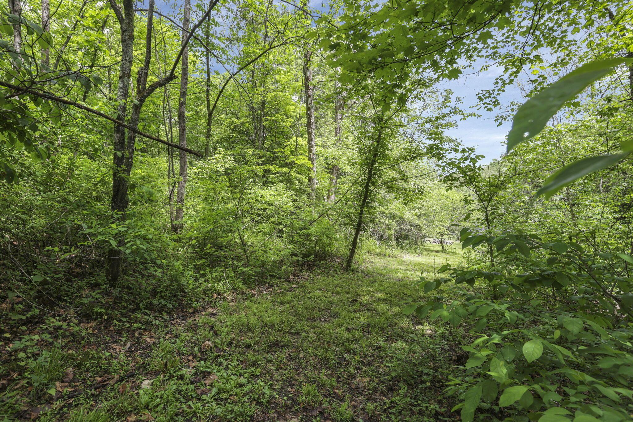 11912 State Route 691 Property Photo 50