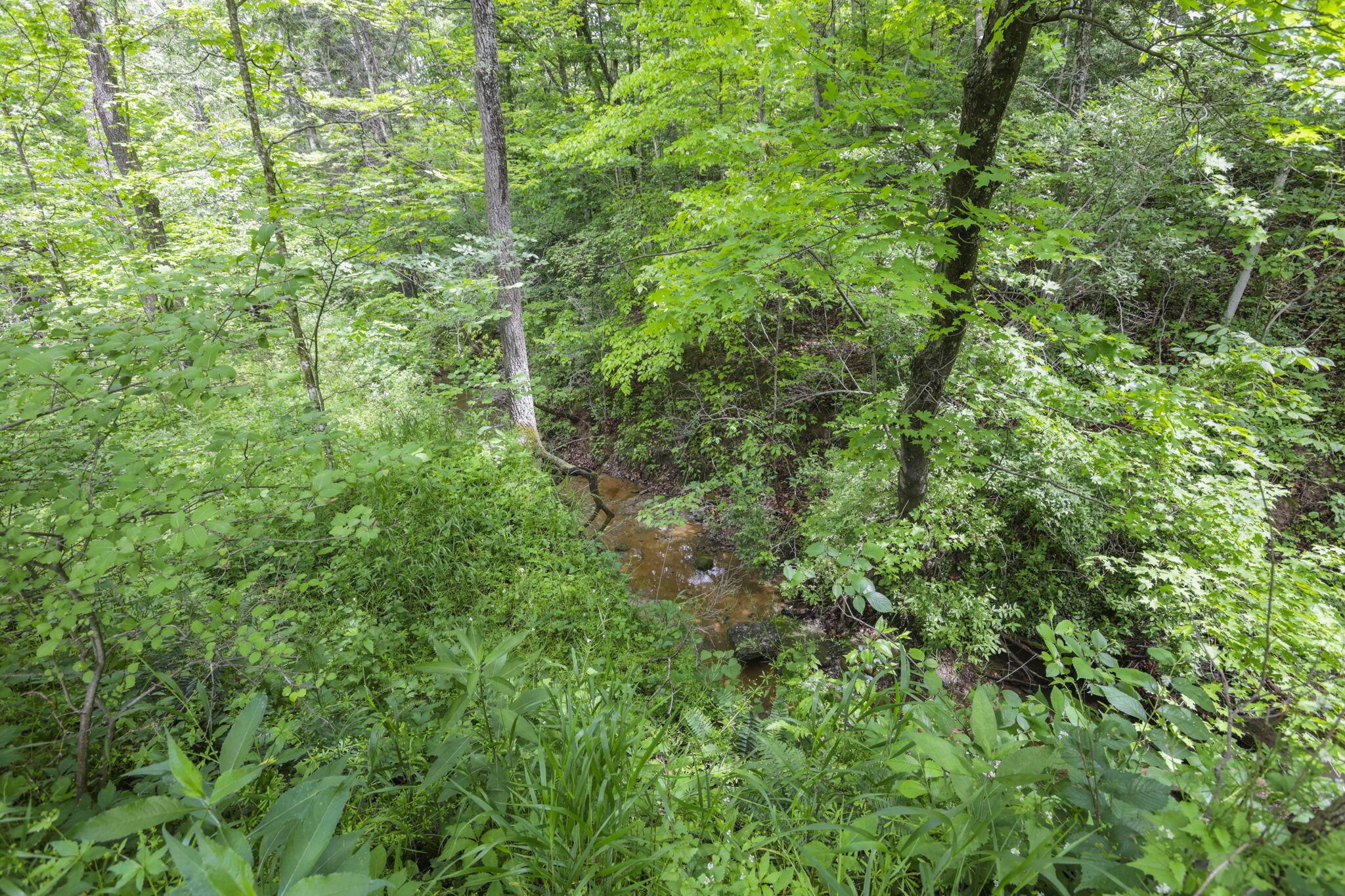 11912 State Route 691 Property Photo 53