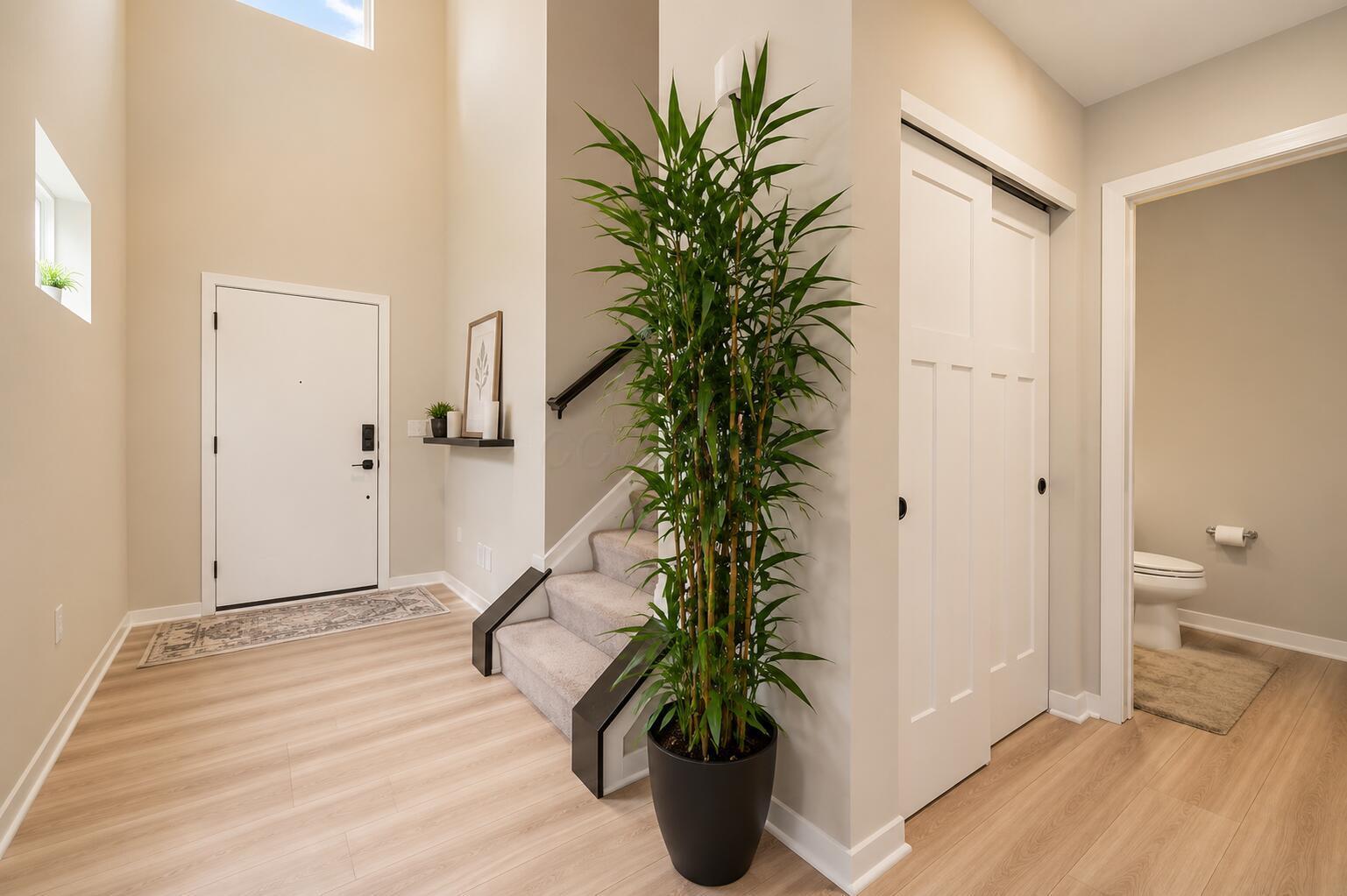 7341 Celebration Drive Property Photo 41