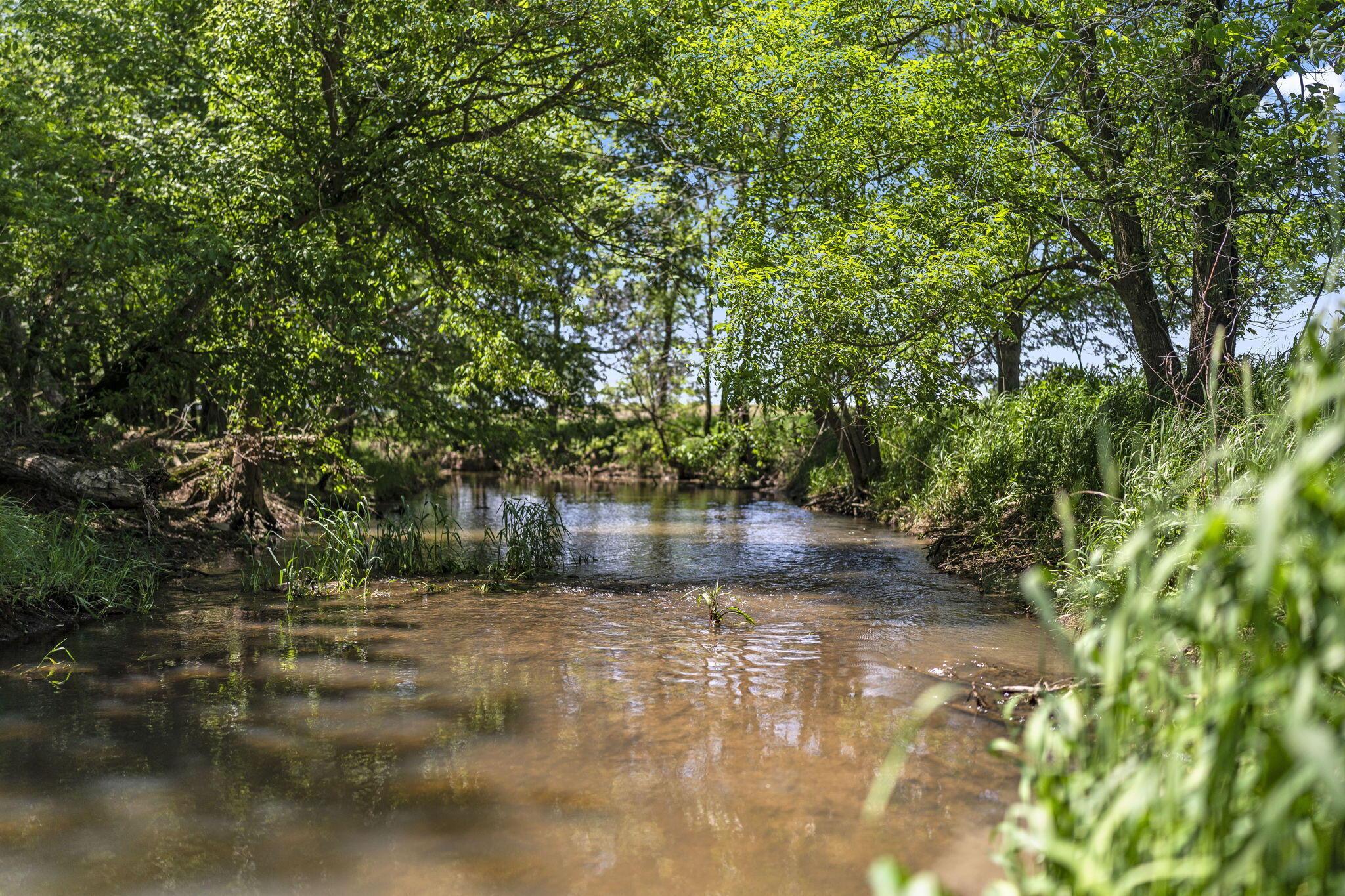 Tract 1 State Route 47 Property Photo 4