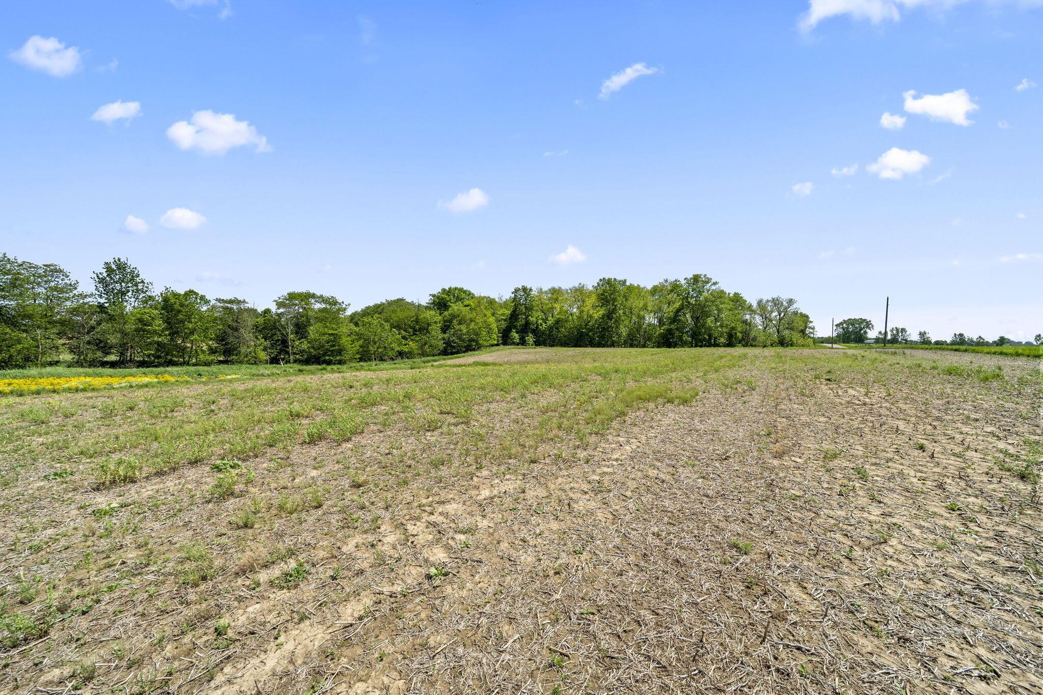 Tract 1 State Route 47 Property Photo 7