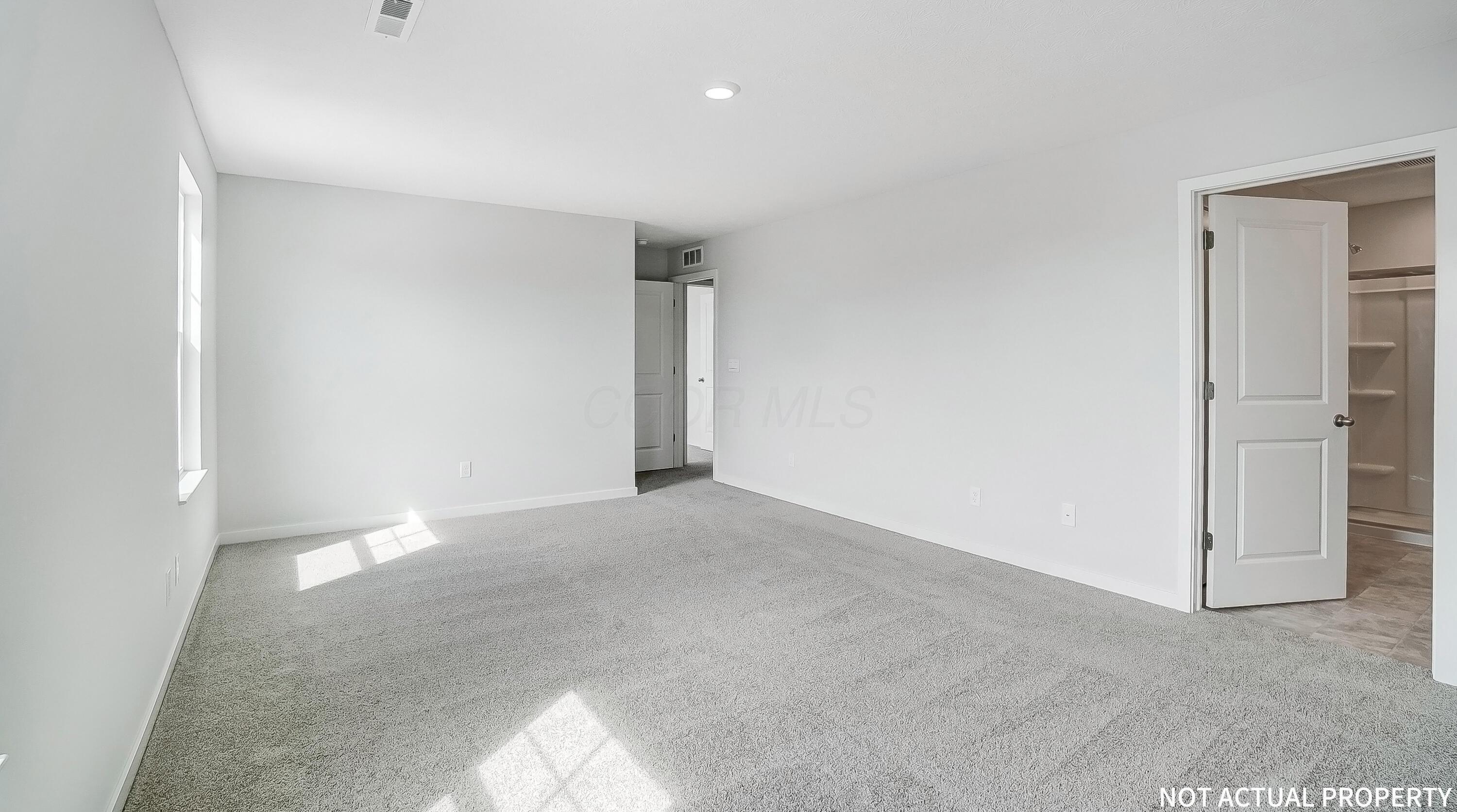 218 Vine Grove Drive Property Photo 23