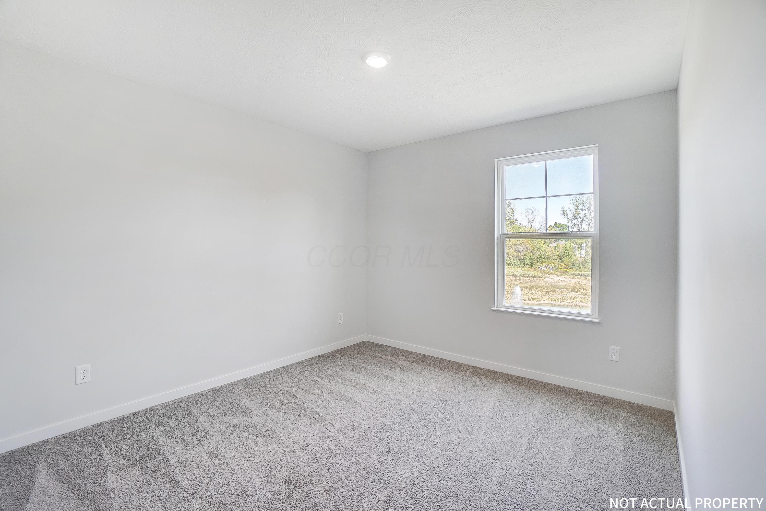 218 Vine Grove Drive Property Photo 25