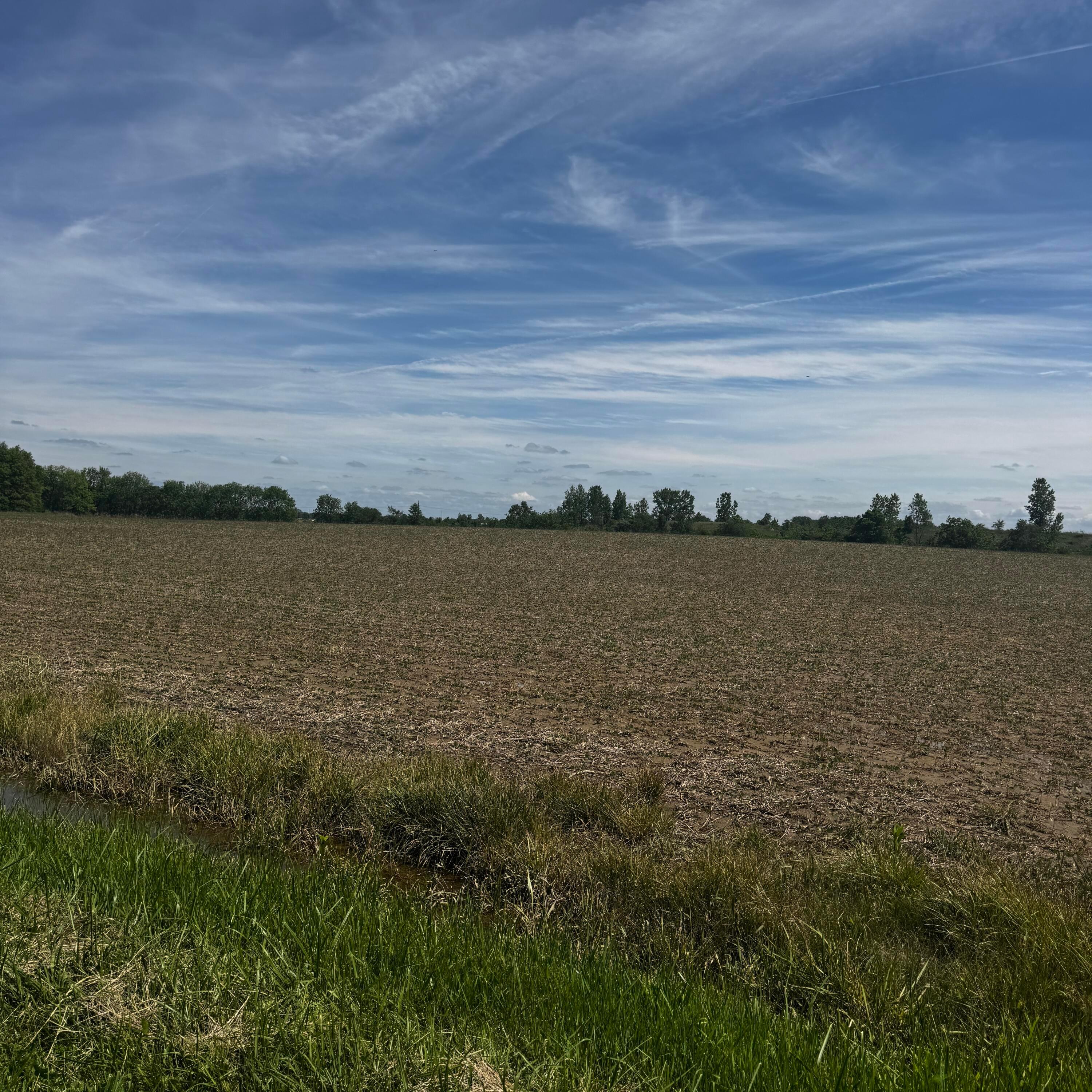 0 Brown Road Property Photo 5