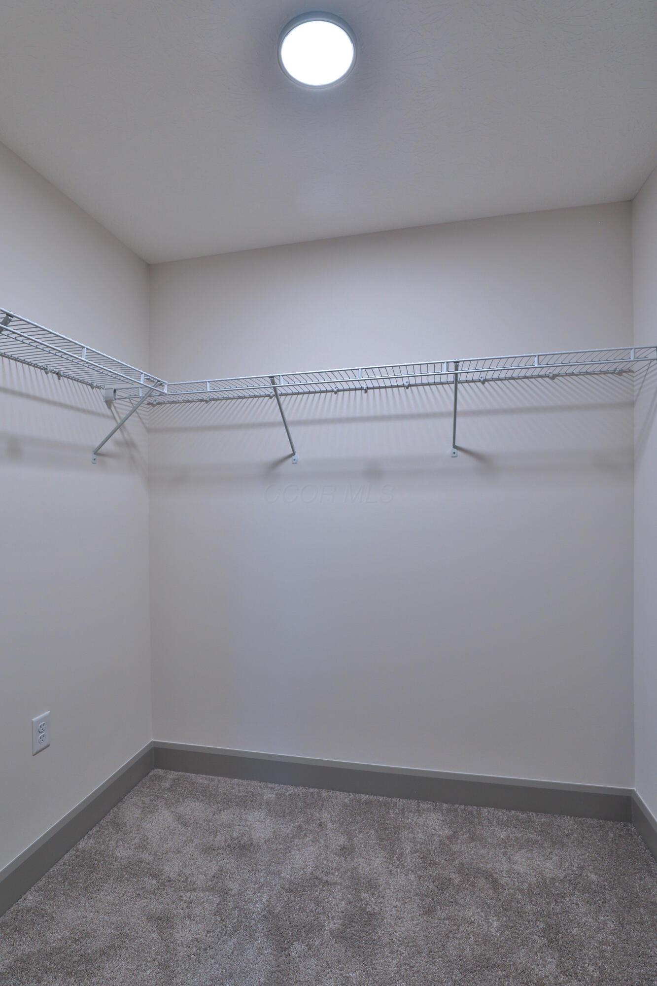 55 Brehl Avenue Property Photo 33